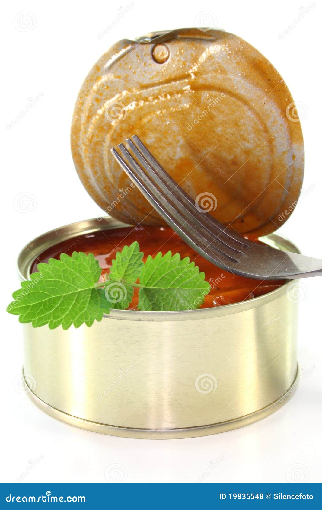 Tin of fish stock photo. Image of white, mediterranean 19835548