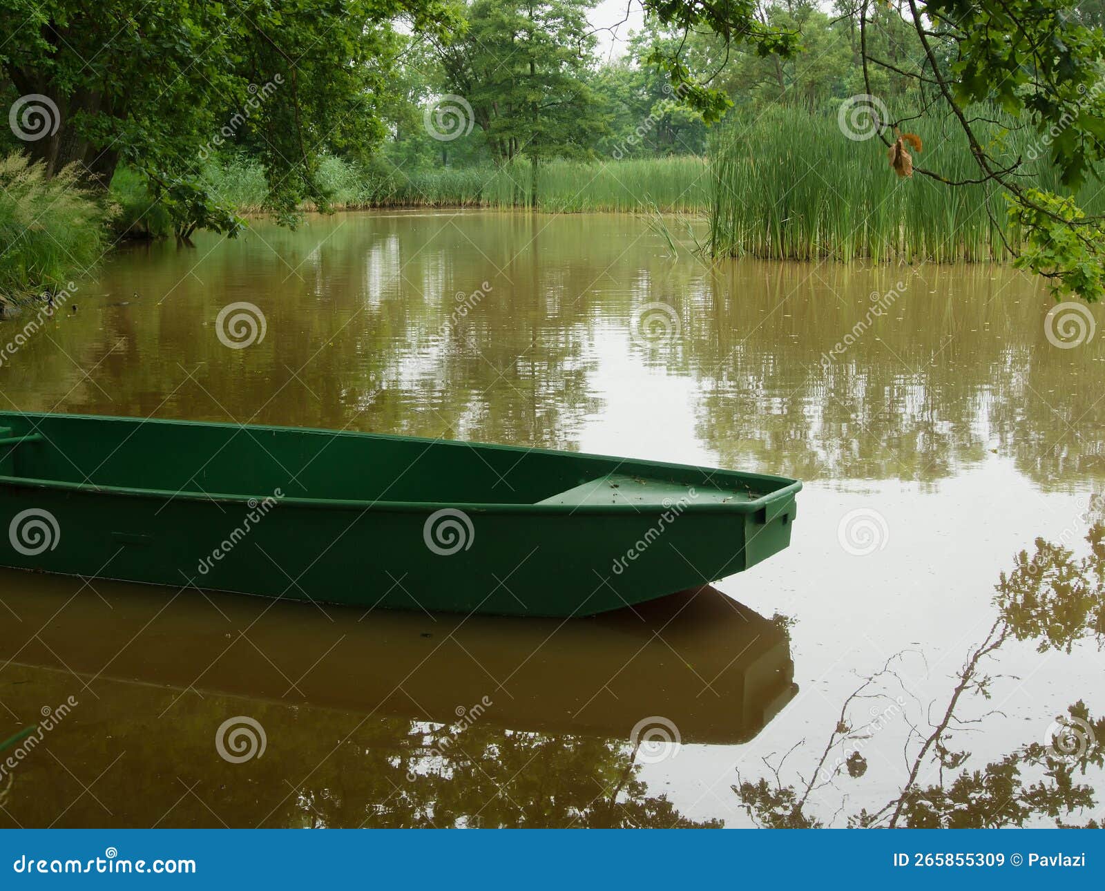 A Tin Fishing Boat Moored at the Shore of a Small Pond Stock Image - Image  of pond, level: 265855309