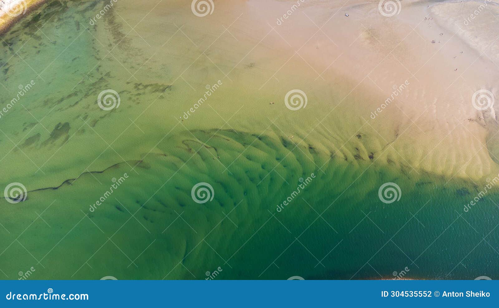 tina menor estuary, nansa river, sandy shallows. cantabria, spain