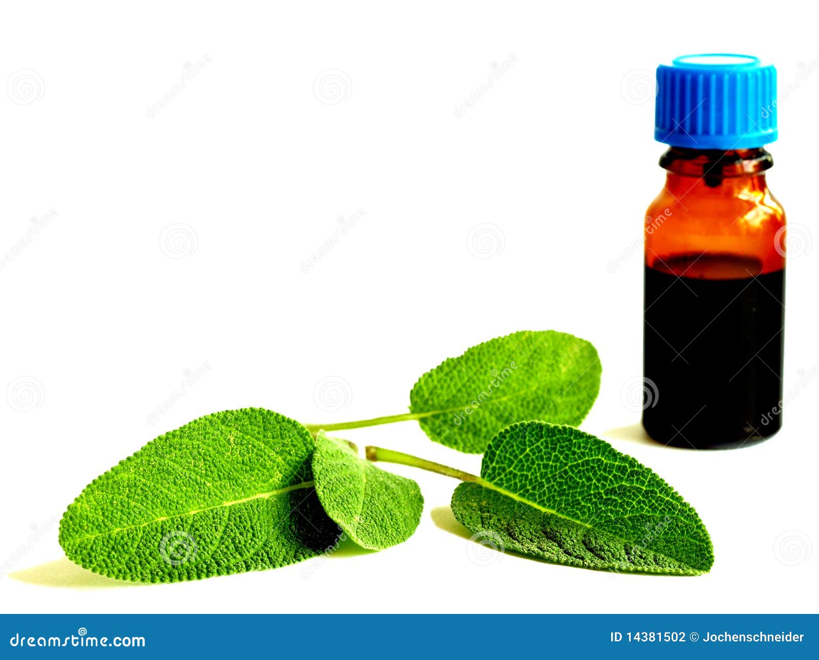 Tincture of sage stock photo. Image of opathic, sage 14381502
