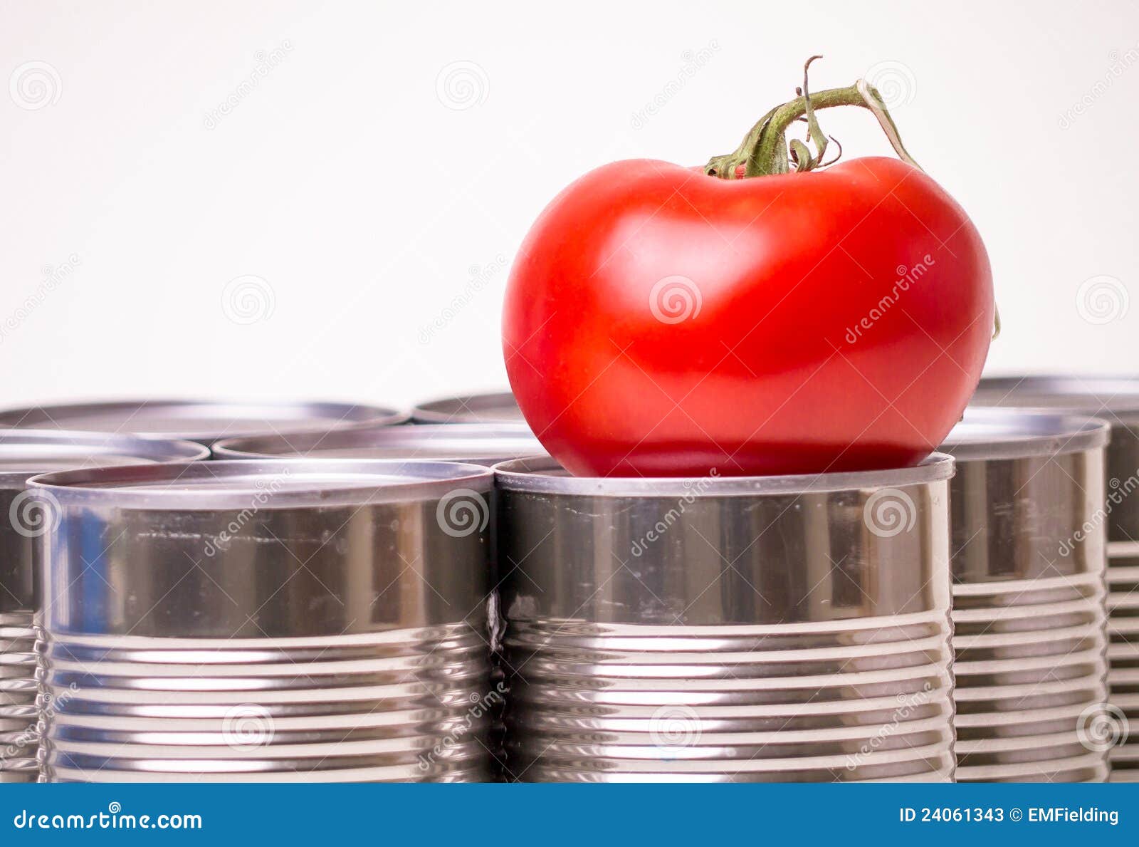 Tinned Food Vs. Fresh Food stock image. Image of packaged 24061343
