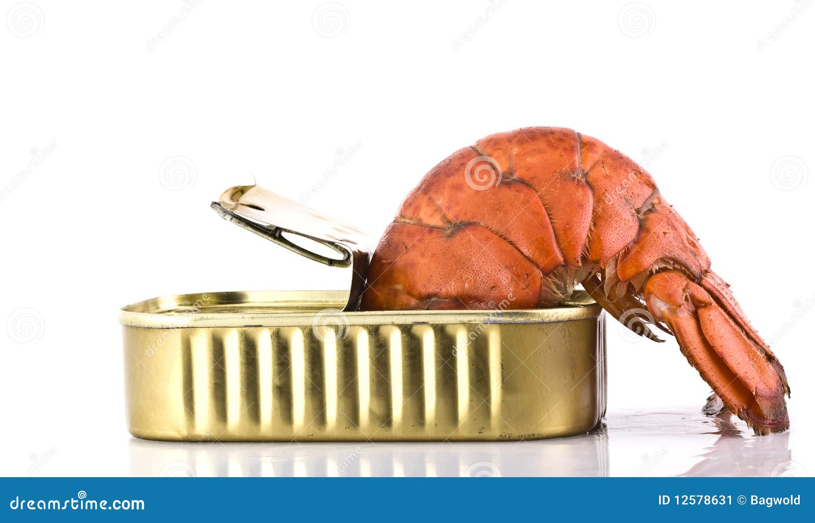 Tinned lobster stock image. Image of expensive, background 12578631