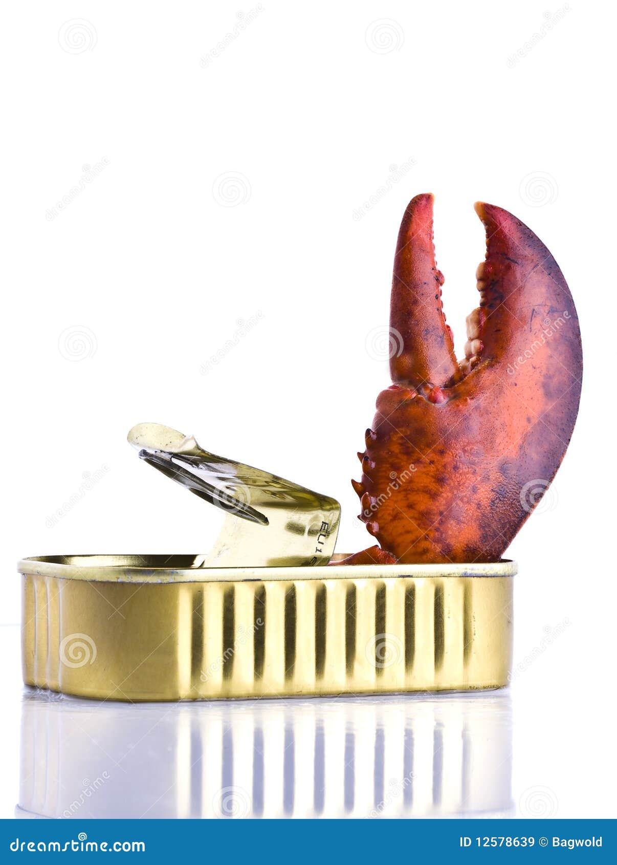 Tinned lobster stock image. Image of cook, market, gourmet 12578639