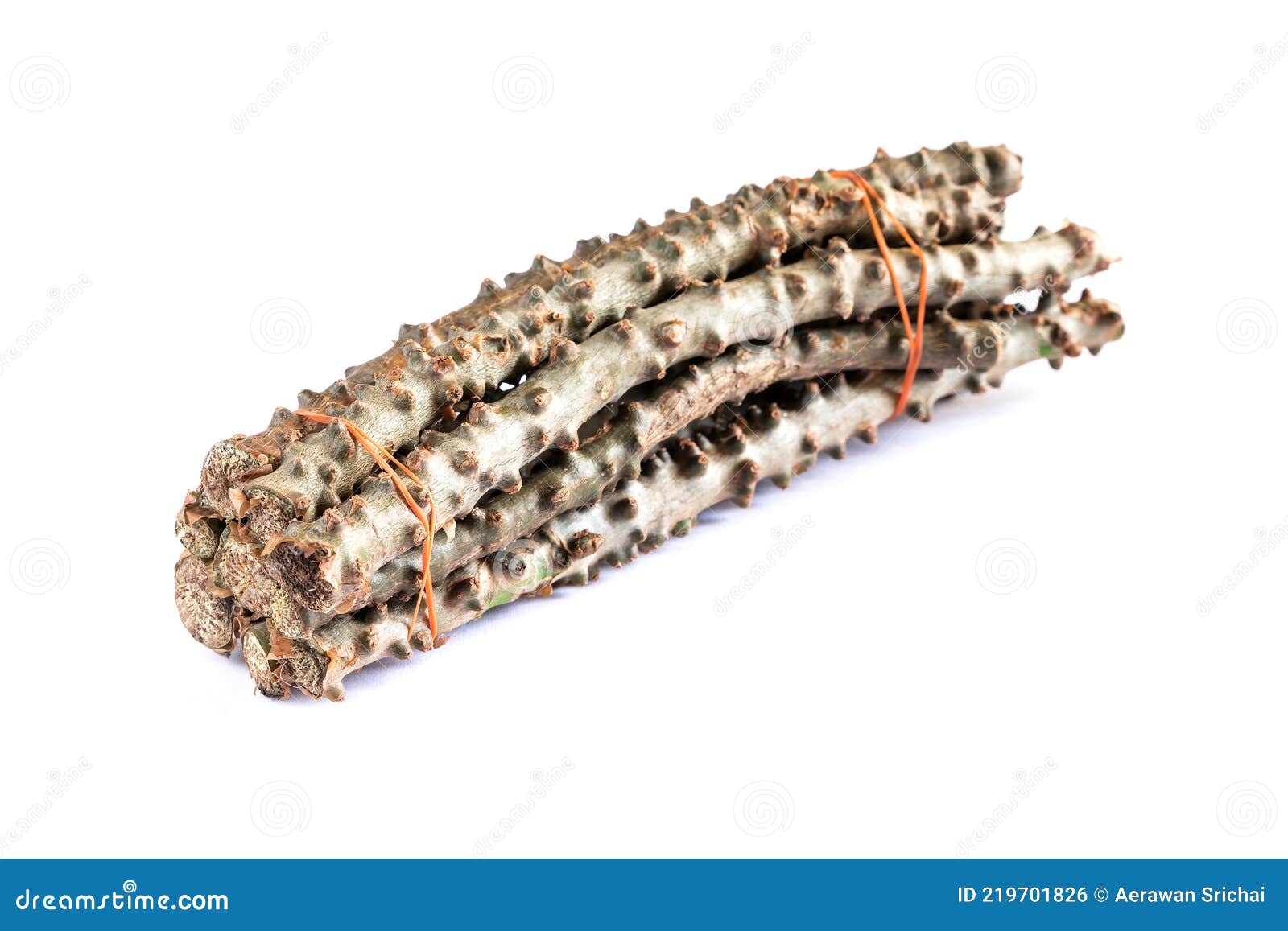 tinospora crispa l. hook.f. & thomson.