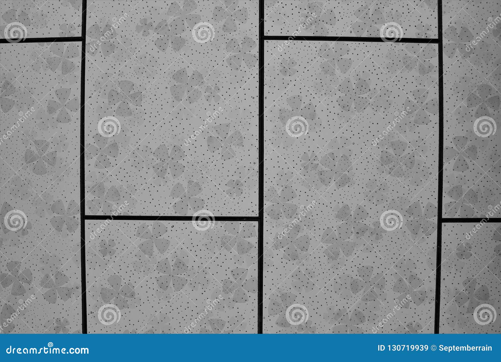 Ceiling Panels In An Office Stock Image Image Of Floral