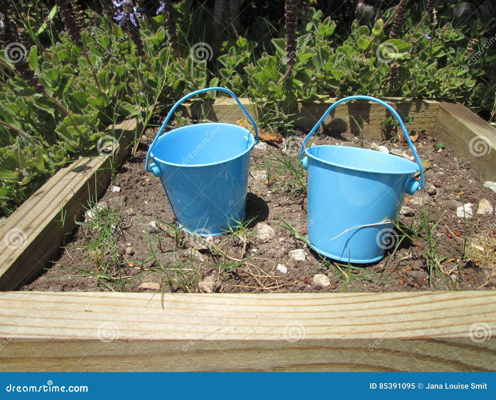 Tiny Buckets. stock image. Image of buckets, container 85391095