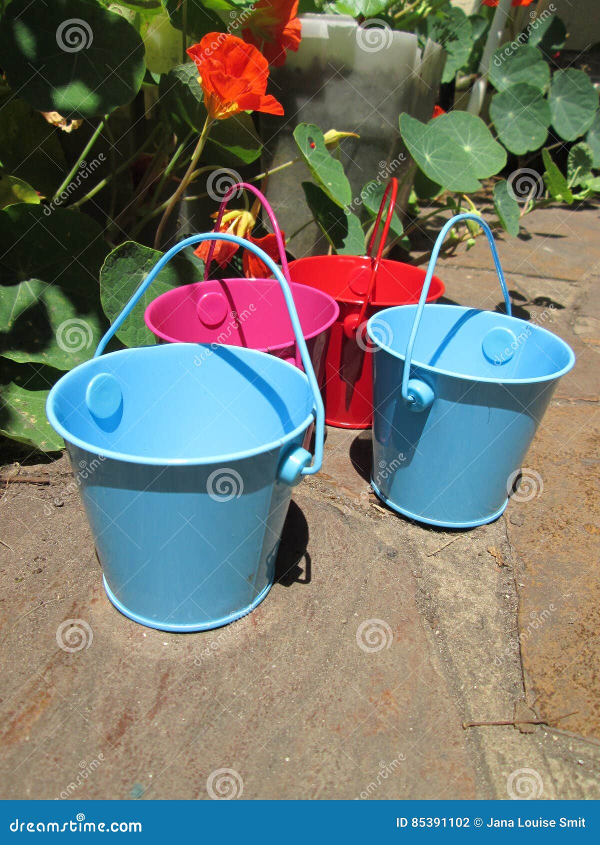 Tiny Buckets. stock photo. Image of hobby, empty, buckets 85391102
