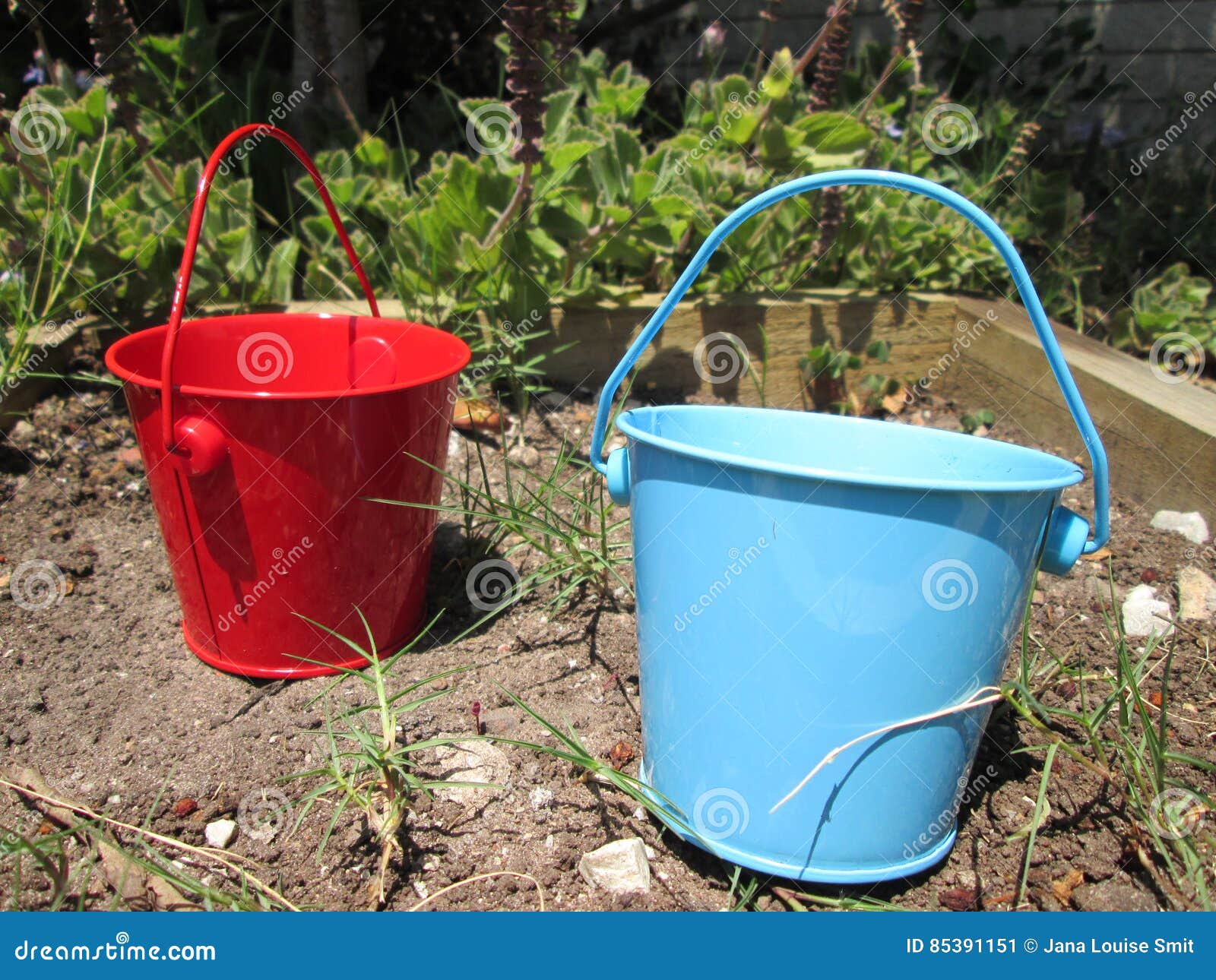 Tiny Buckets. stock image. Image of household, gardening 85391151
