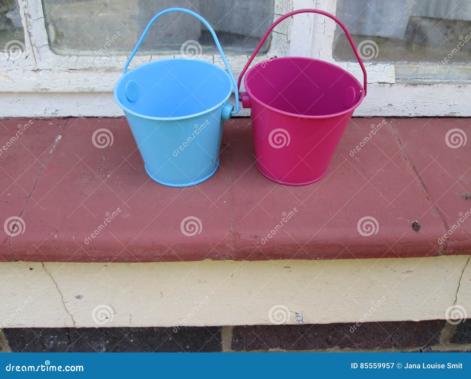 Tiny Buckets. stock image. Image of group, bright, miniature 85559957