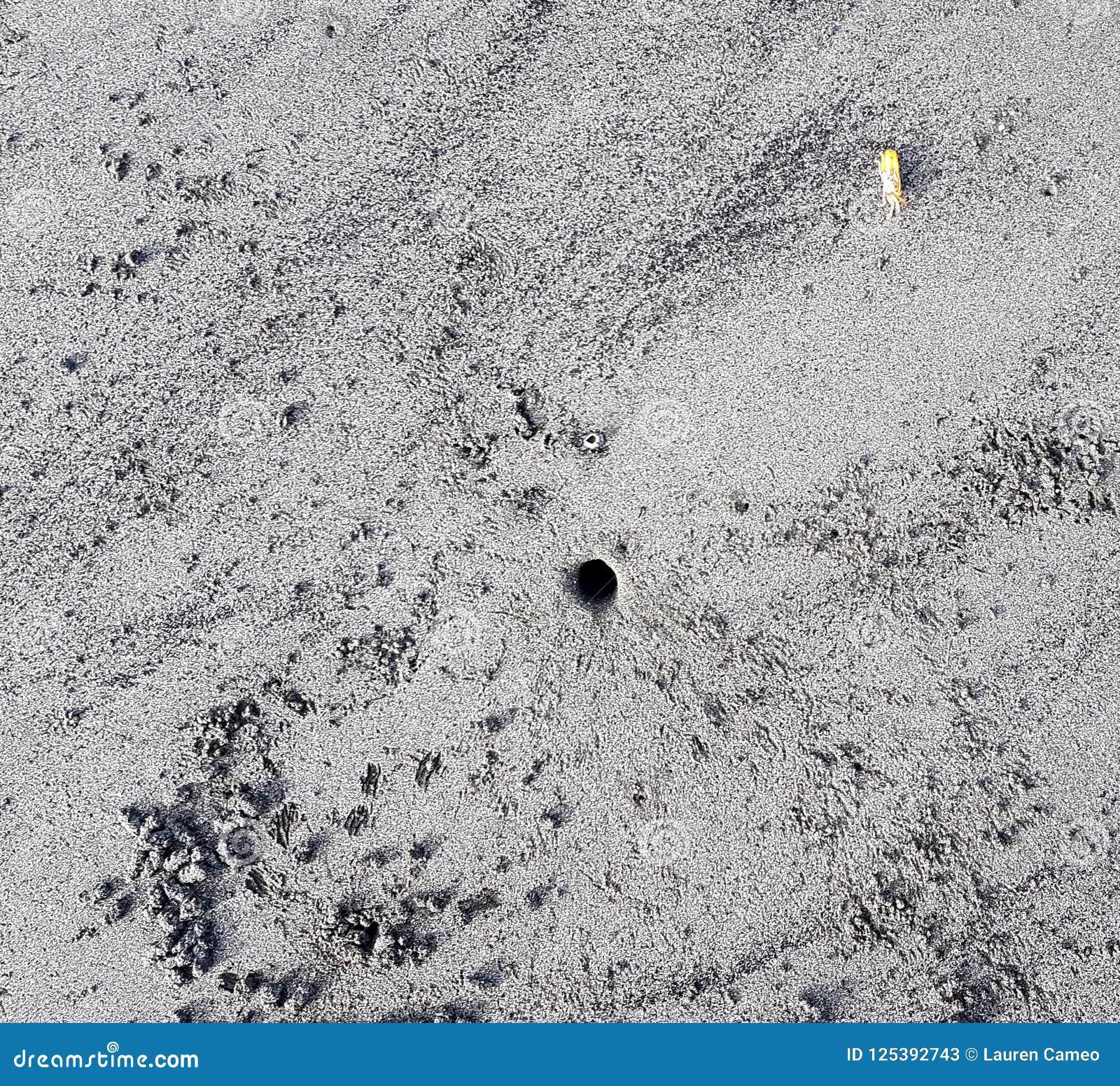 List 28+ Photos what are the small holes in the sand on the beach Latest List 28+ Photos what are the small holes in the sand on the beach Latest
