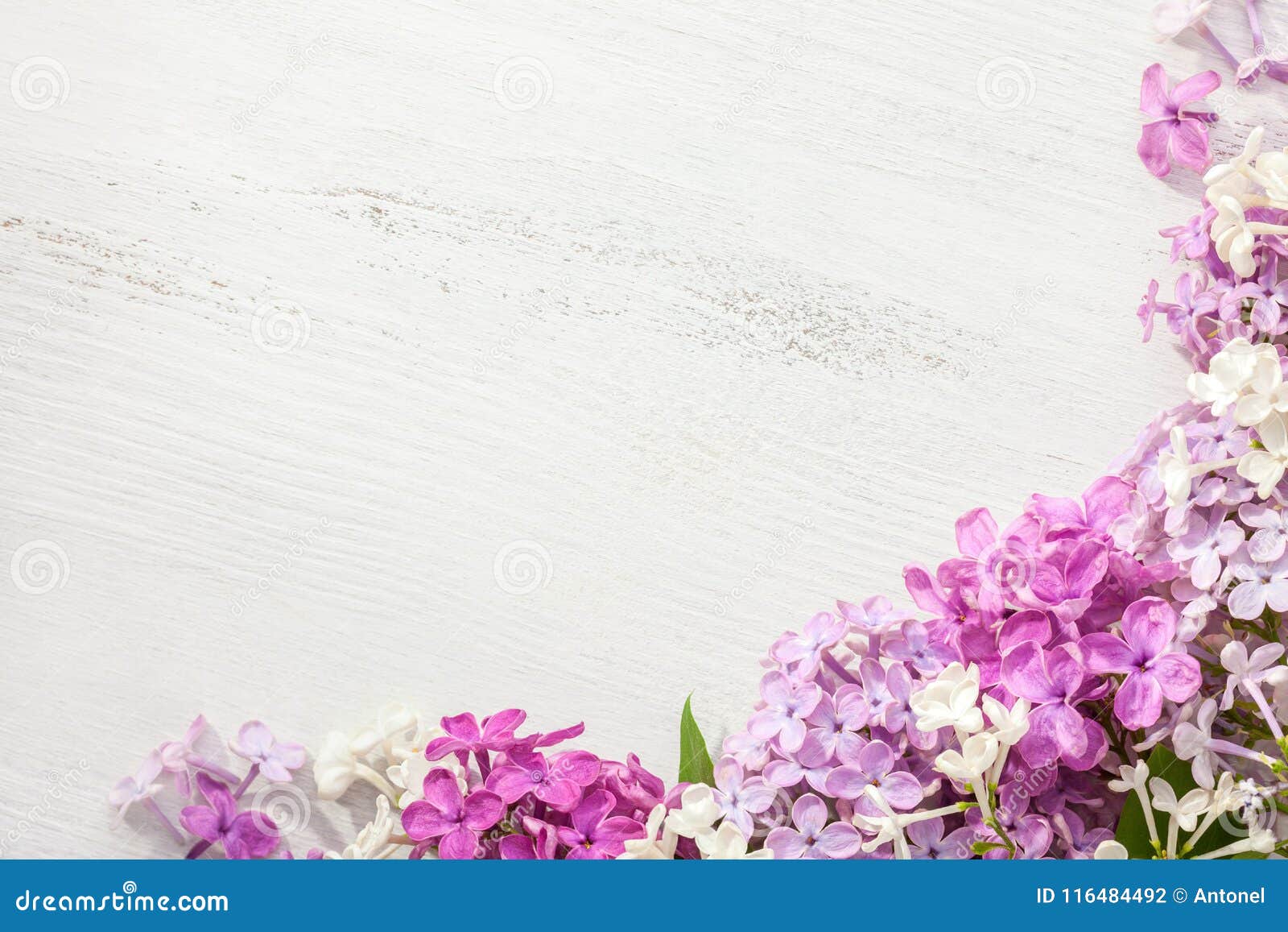 tiny flowers of lilac on an old wooden background. floral border