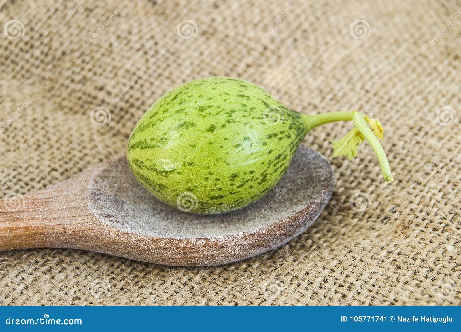 Tiny Melon Baby, but As Big As a Spoon Stock Image Image of eggs
