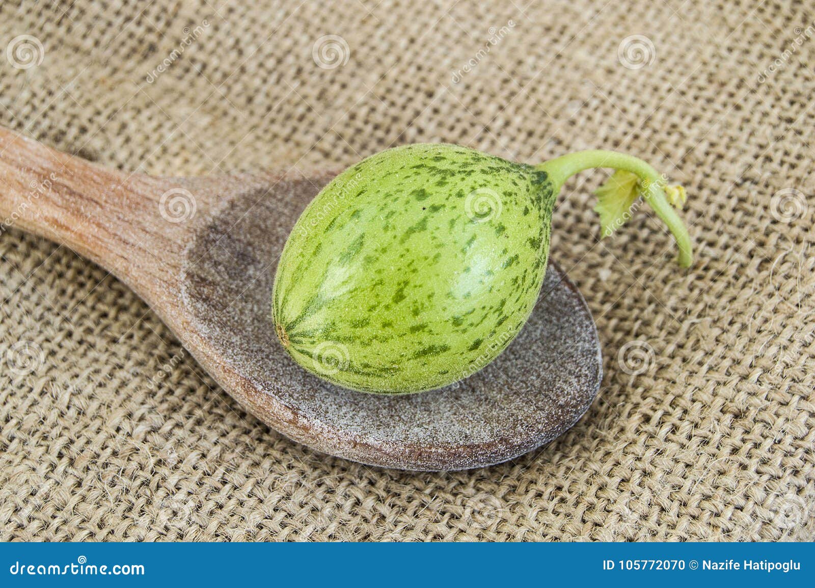 Tiny Melon Baby, but As Big As a Spoon Stock Photo Image of chicken