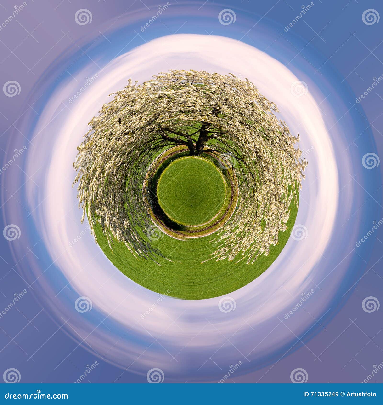 tiny planet tree farm tiny planet tree farm