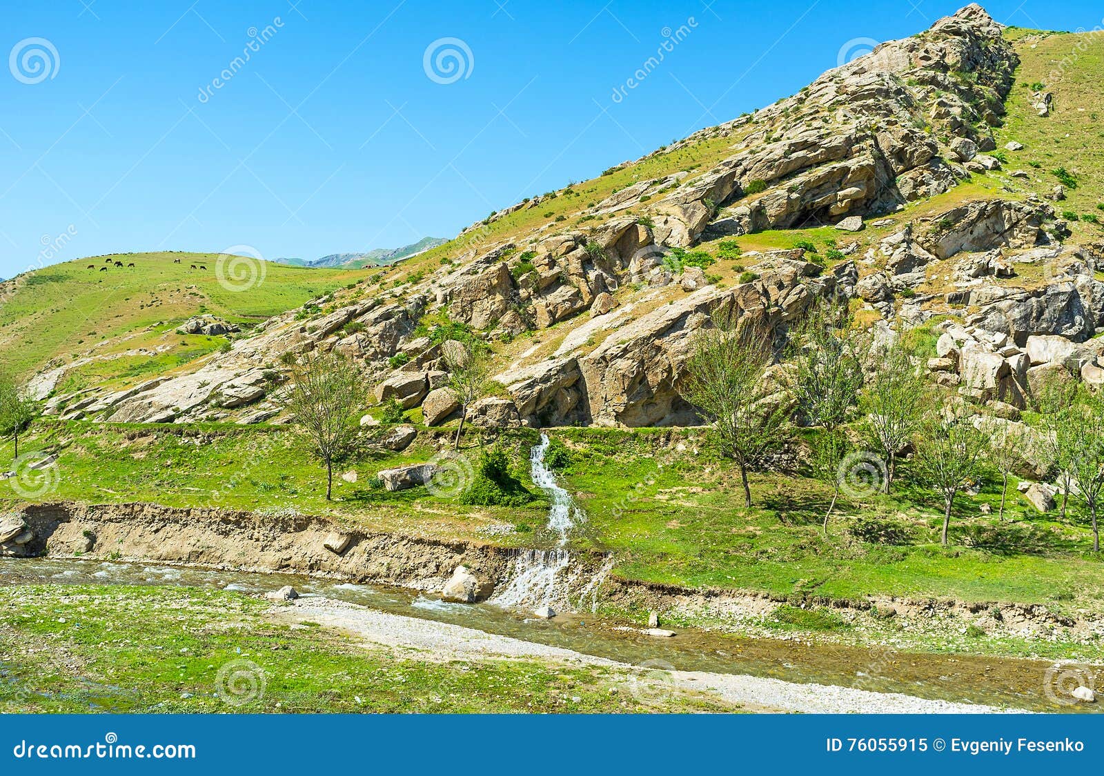 the tiny stream