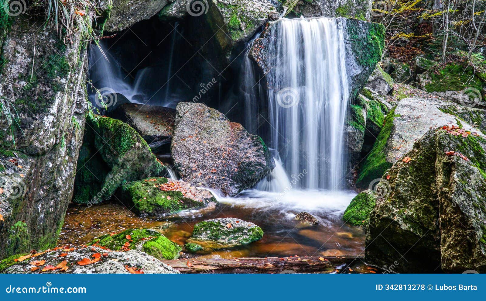 a tiny waterfall tumbles over moss-covered rocks in the forest