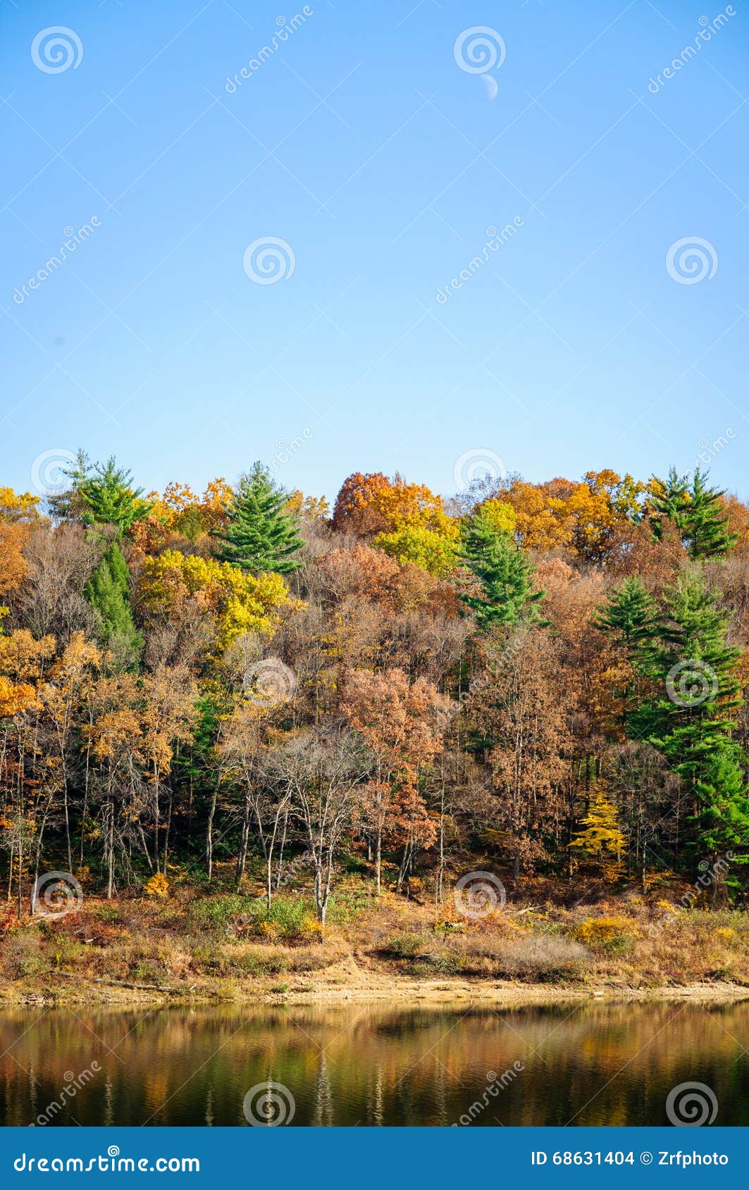 Tionesta Lake and Dam stock photo. Image of forest, sunset 68631404