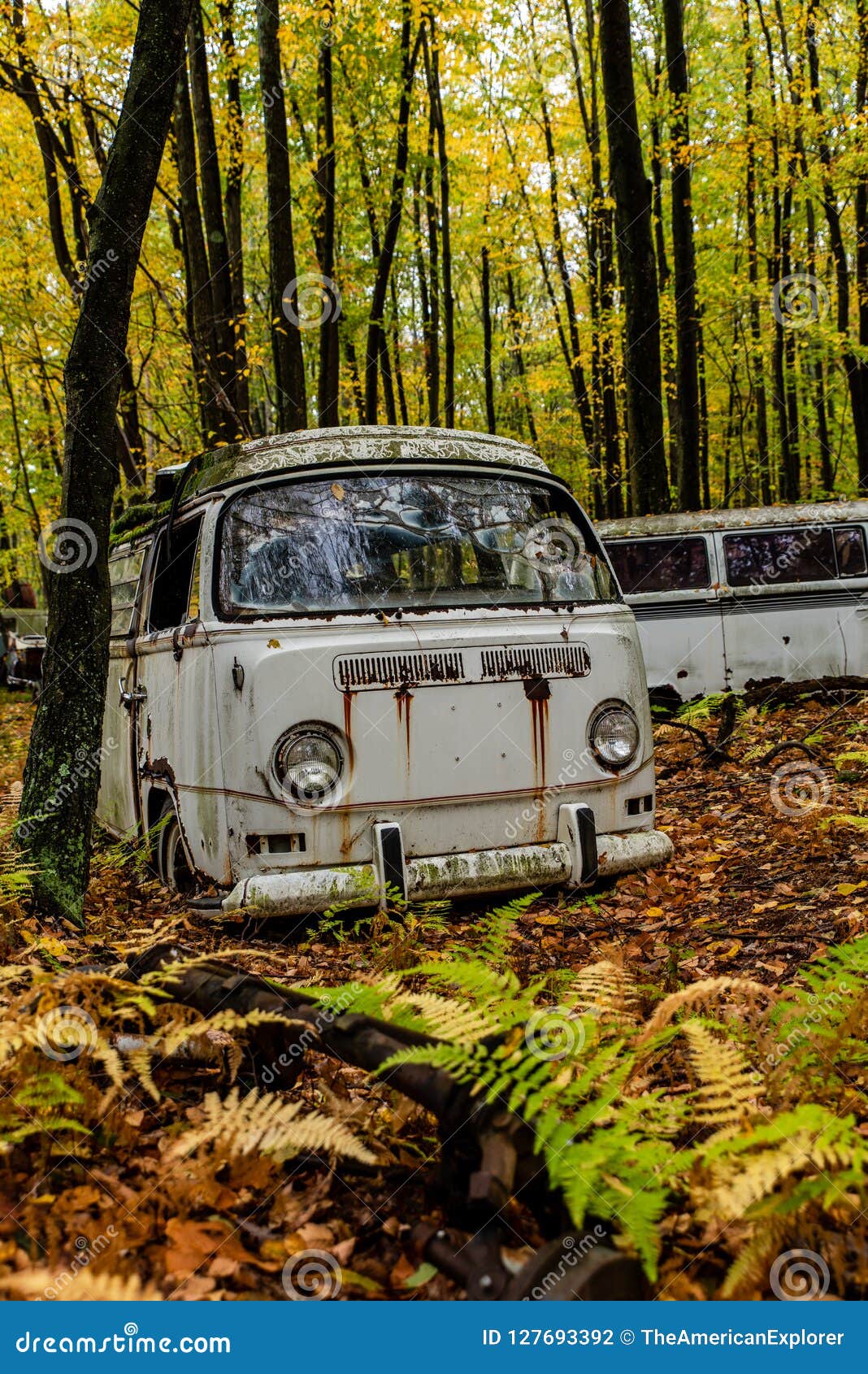 Tipo Abandonado De Volkswagen 2 Van Deposito De Chatarra Pennsylvania Foto De Archivo Imagen De Verde Coche Tipo Abandonado De Volkswagen 2 Van Deposito De Chatarra Pennsylvania Foto De Archivo Imagen De Verde Coche