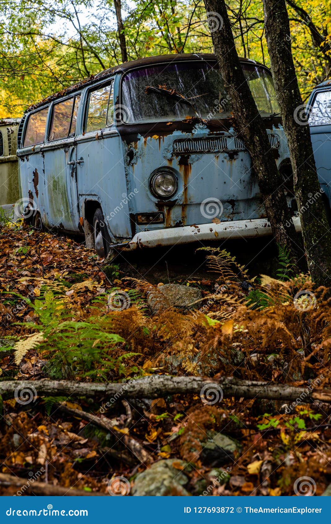 Tipo Abandonado De Volkswagen 2 Van Deposito De Chatarra Pennsylvania Foto De Archivo Imagen De Tipo Pennsylvania Tipo Abandonado De Volkswagen 2 Van Deposito De Chatarra Pennsylvania Foto De Archivo Imagen De Tipo Pennsylvania