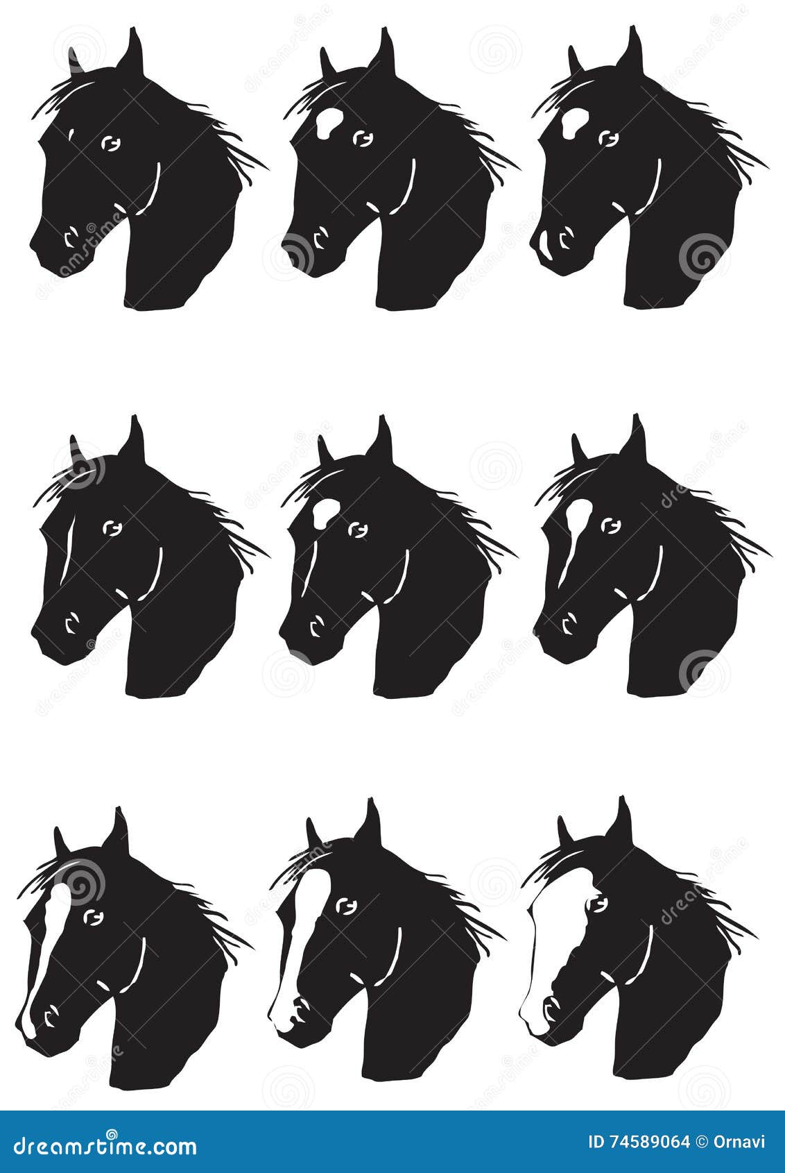 Marcações faciais de cavalos - Cavalus