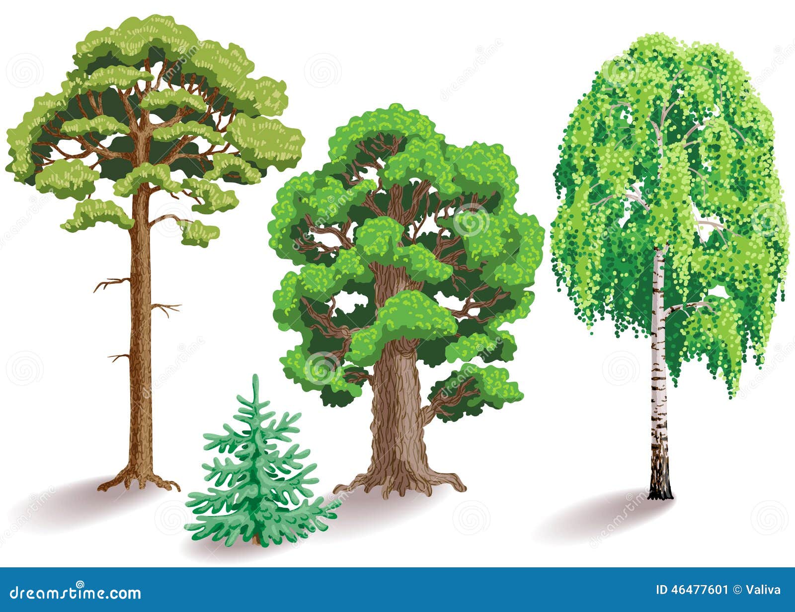 Tipos de árboles ilustración del vector. Ilustración de estacional -  46477601