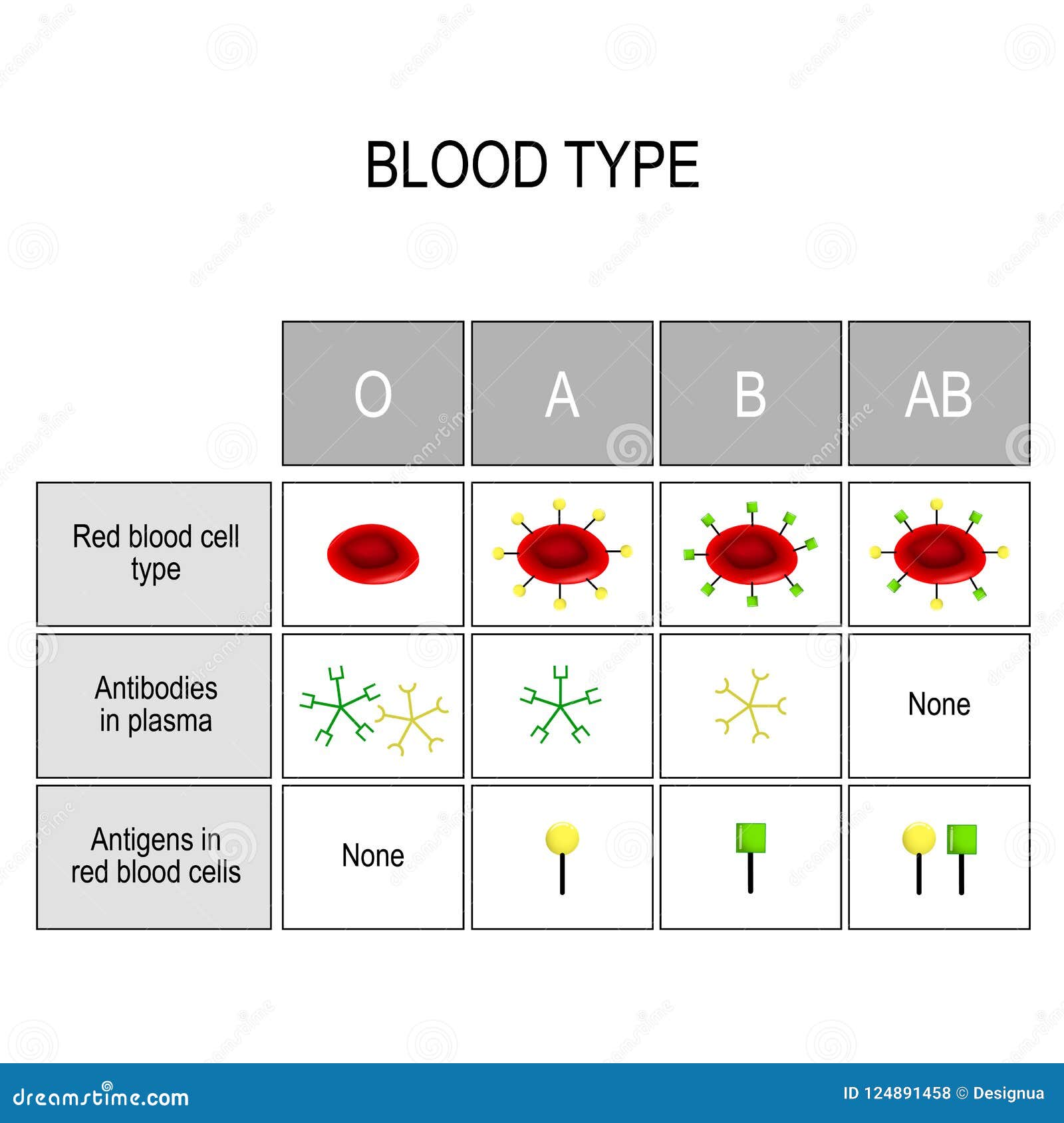 Tipos de la sangre A, B, AB, O Beneficiario y donante. Carta de los grupos sanguíneos Hay cuatro tipos de sangre básicos, compuestos de las combinaciones del tipo A y de tipo antígenos de B Tipos de la sangre A, B, AB, O Hay una compatibilidad específica entre los grupos para donar y recibir sangre Solamente cierto tipo de grupo sanguíneo se puede recibir o donar por alguien Diagrama del vector para el uso médico, educativo, y de la ciencia