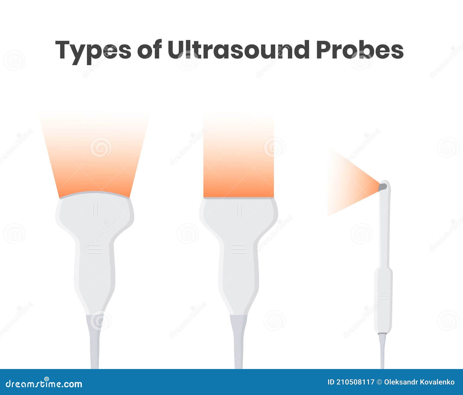 Tipos De Transductores De Ultrasonido : Sondas Convexas Lineales Y