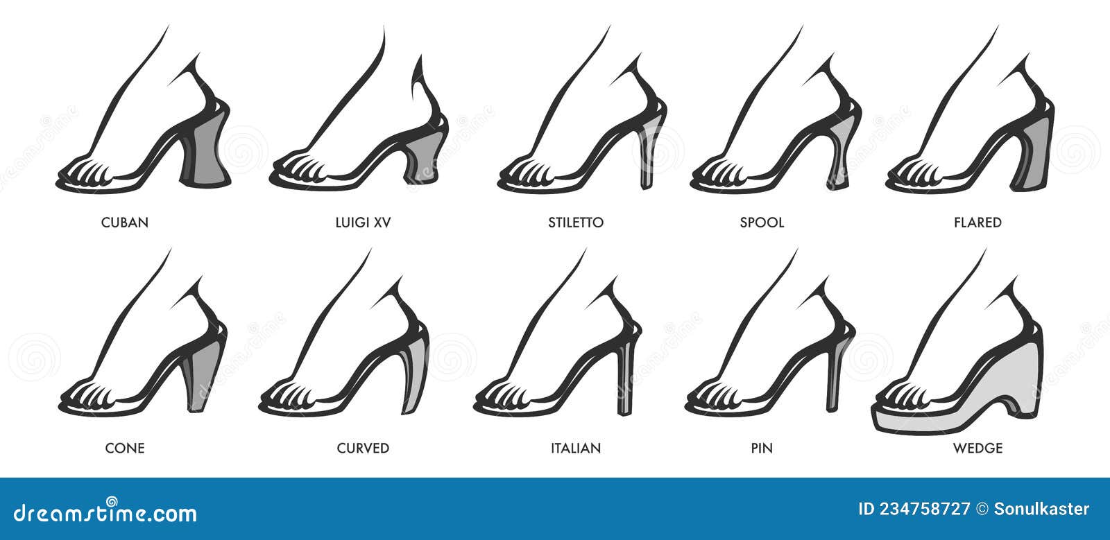 Tipos De Zapatos Y De Mujer Moda Y Ropa del - Ilustración de moderno, curvado: 234758727