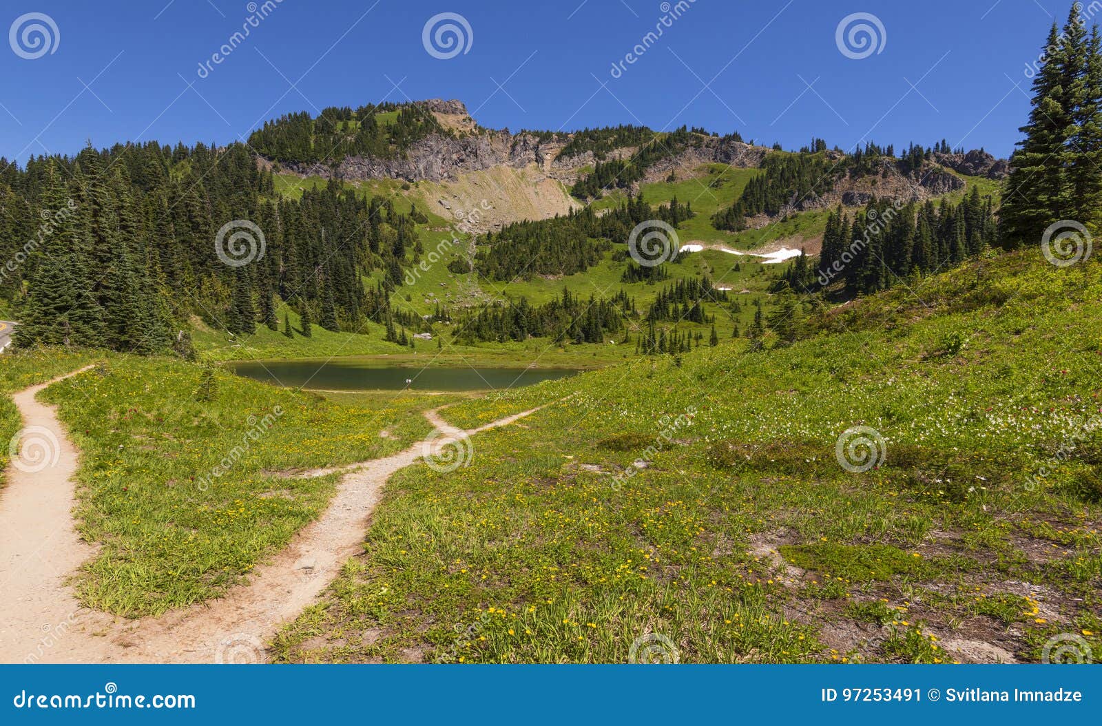 Tipsoo Lake in Mt Rainier NP Stock Image Image of trail, tipsoo 97253491