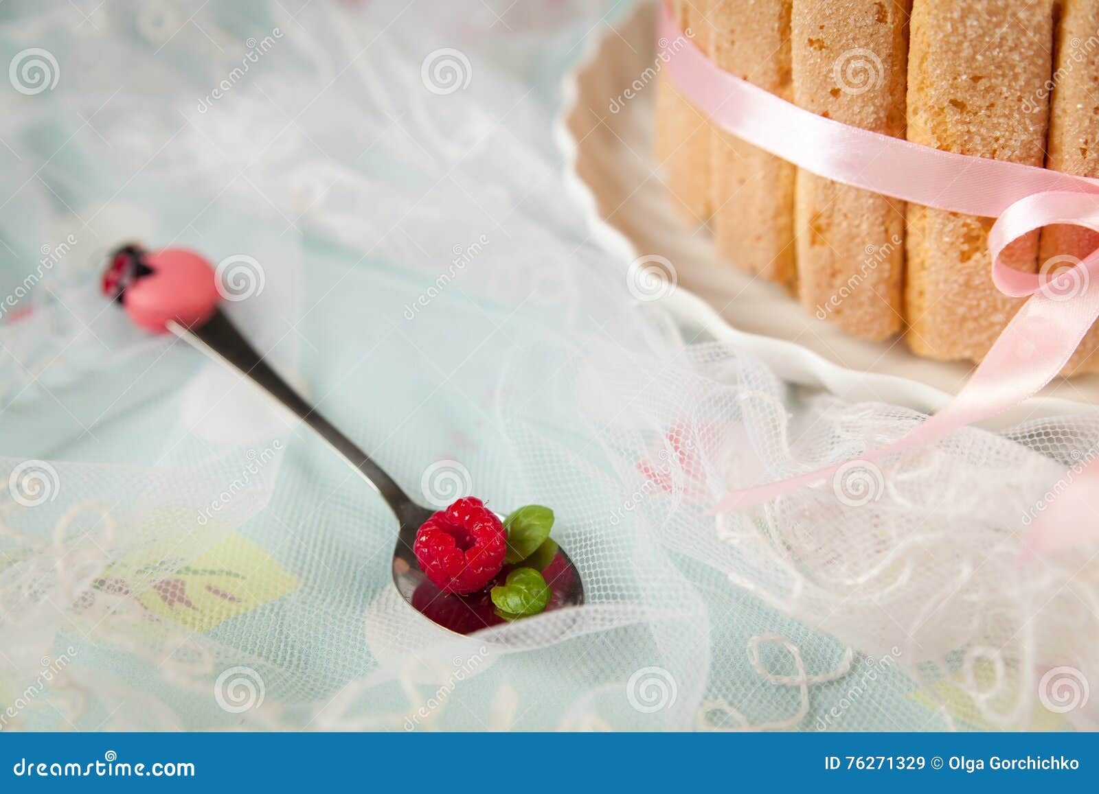 Tiramisu Cake Charlotte Decorated With Raspberry Stock Image Image Of Dessert Flower