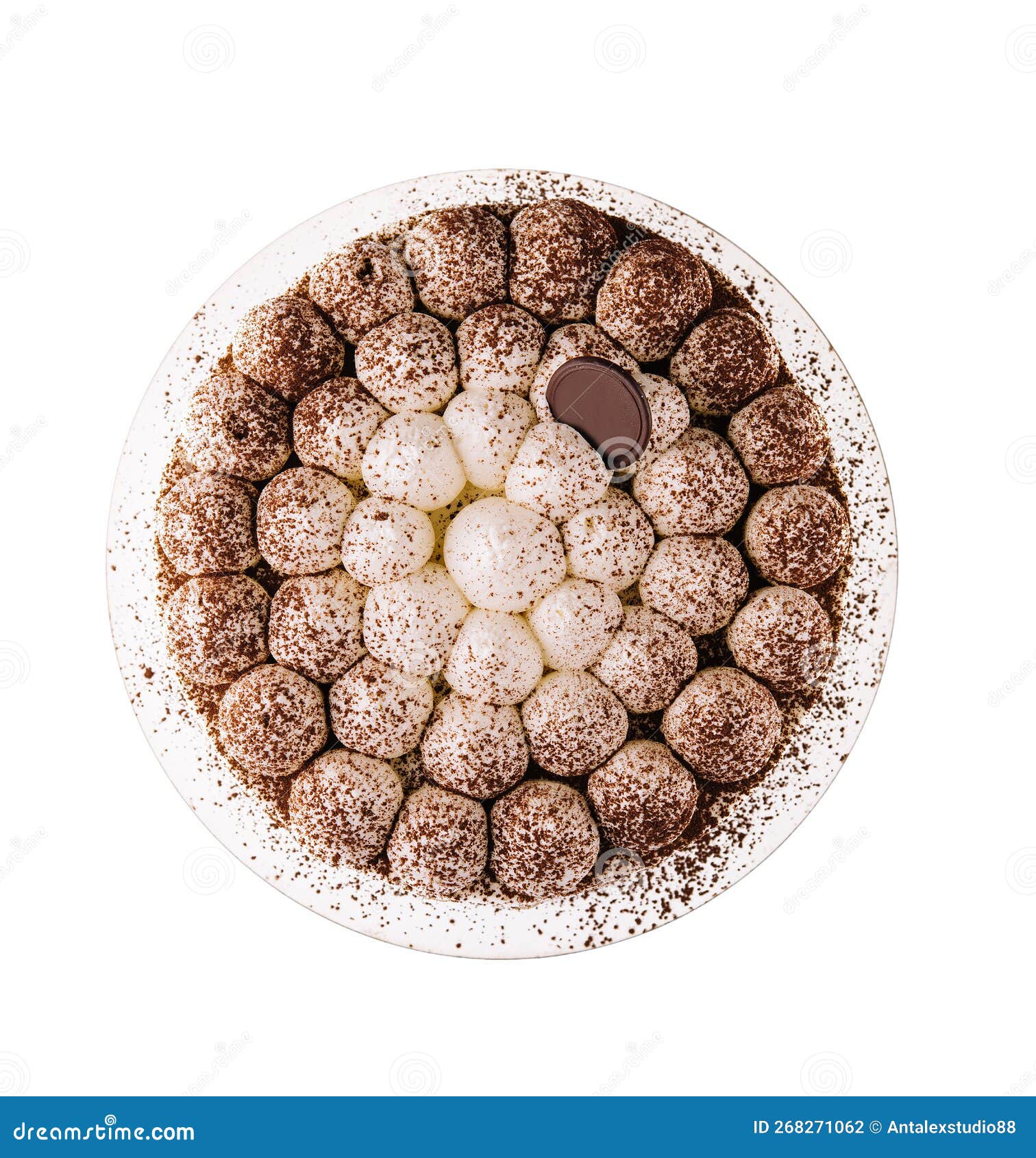 Tiramisu Cake with Chocolate Decor Isolated Stock Photo Image of