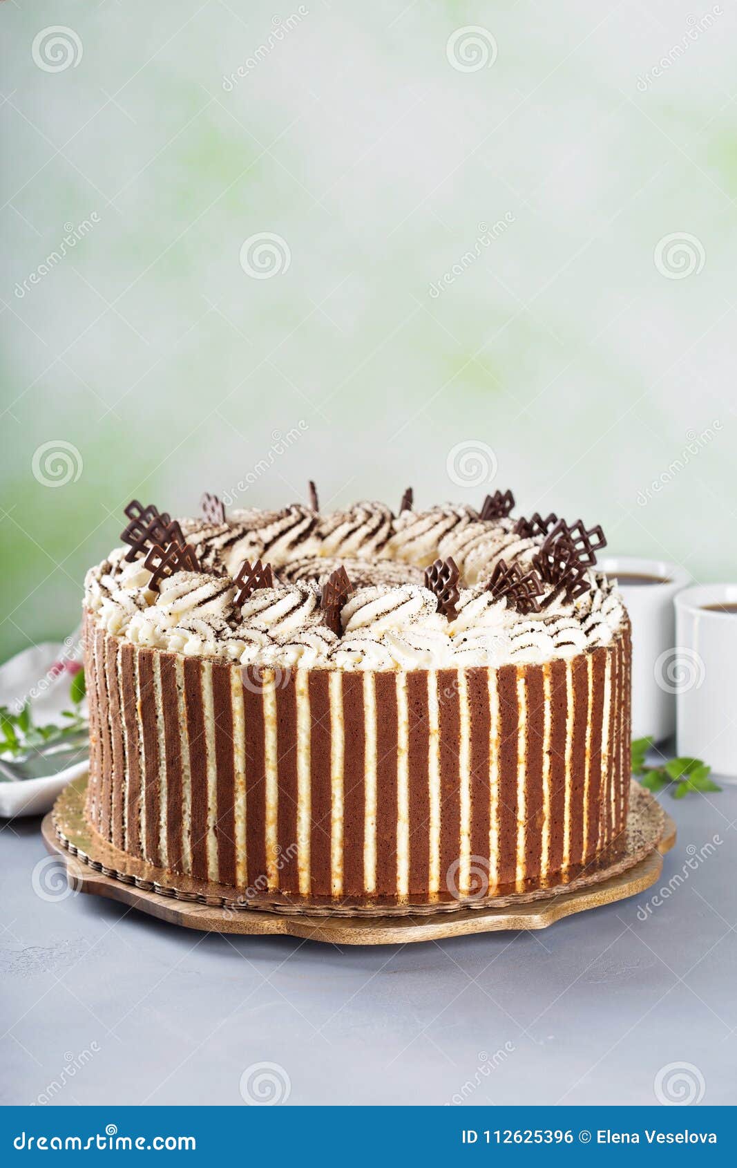 Tiramisu Cake with Chocolate Decor Stock Photo Image of brown, decor