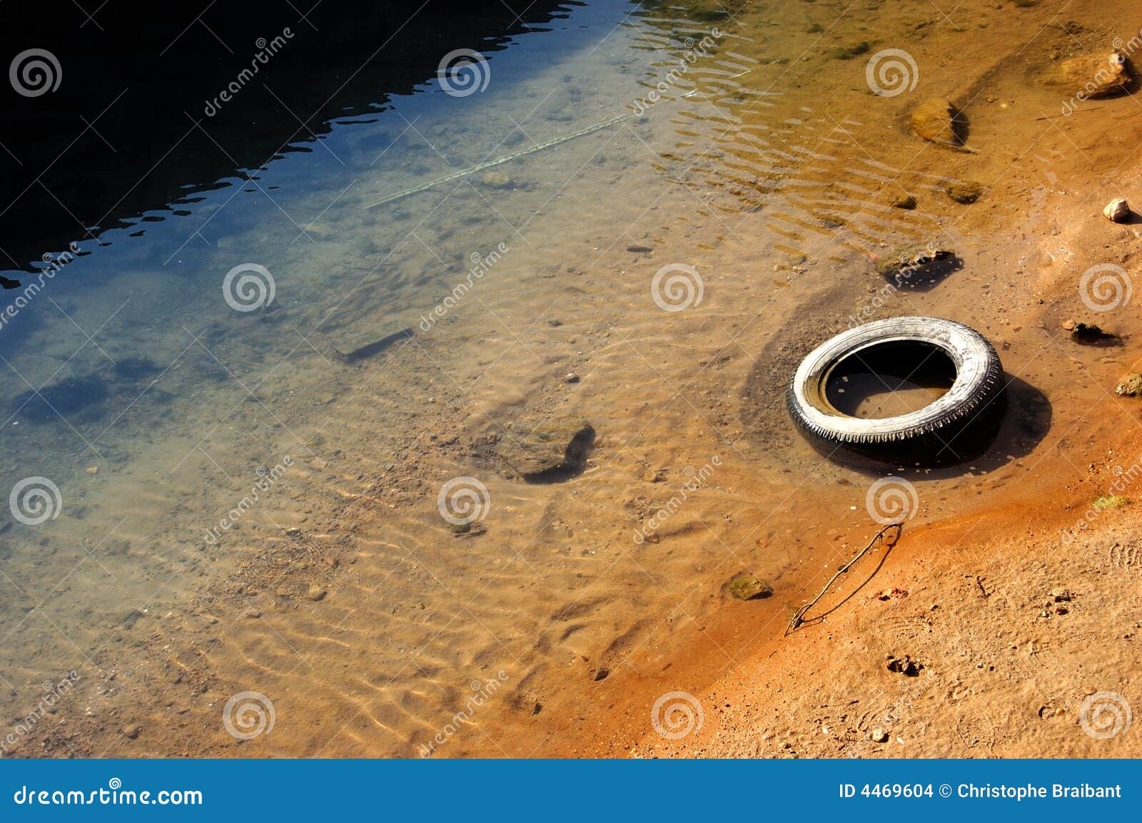 A tire in the river stock photo. Image of river, desolate 4469604