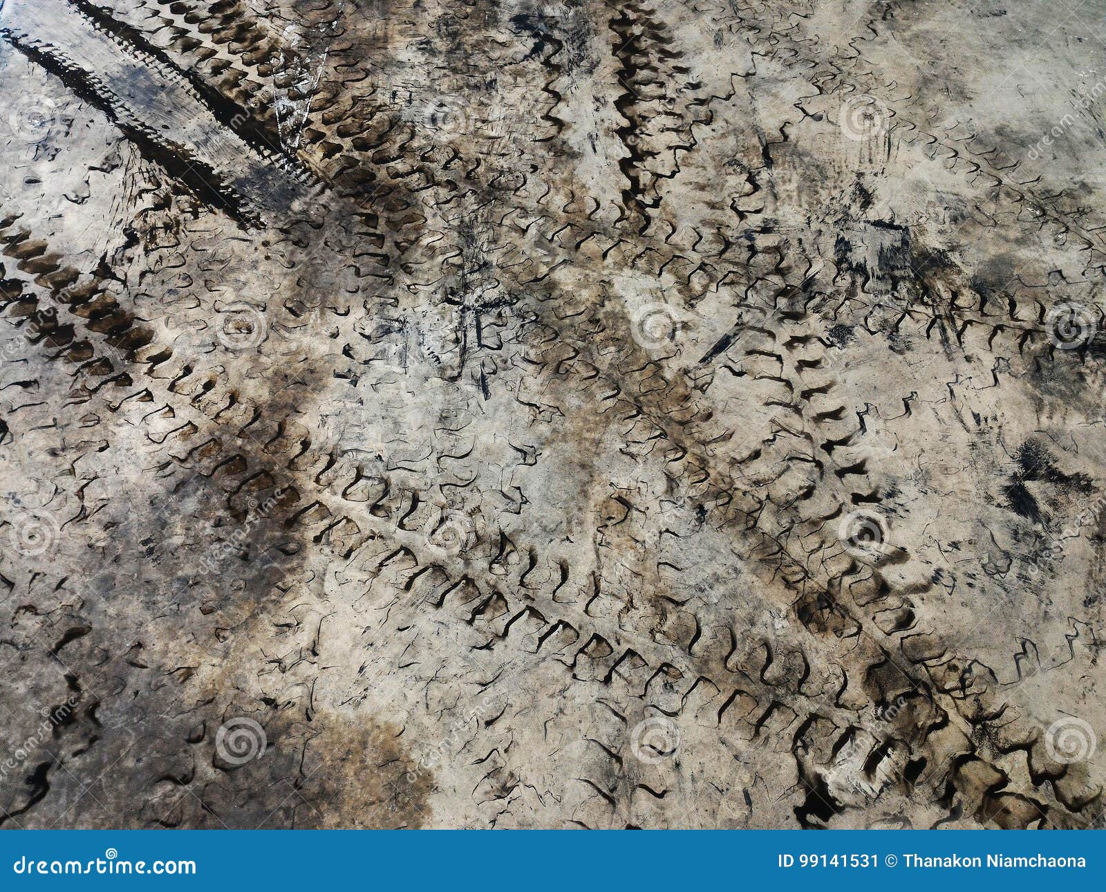 Tire Track of Forklift on Cement Floor Stock Image Image of park