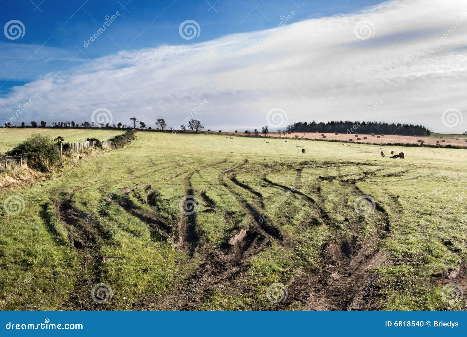tire tracks in agricultural field