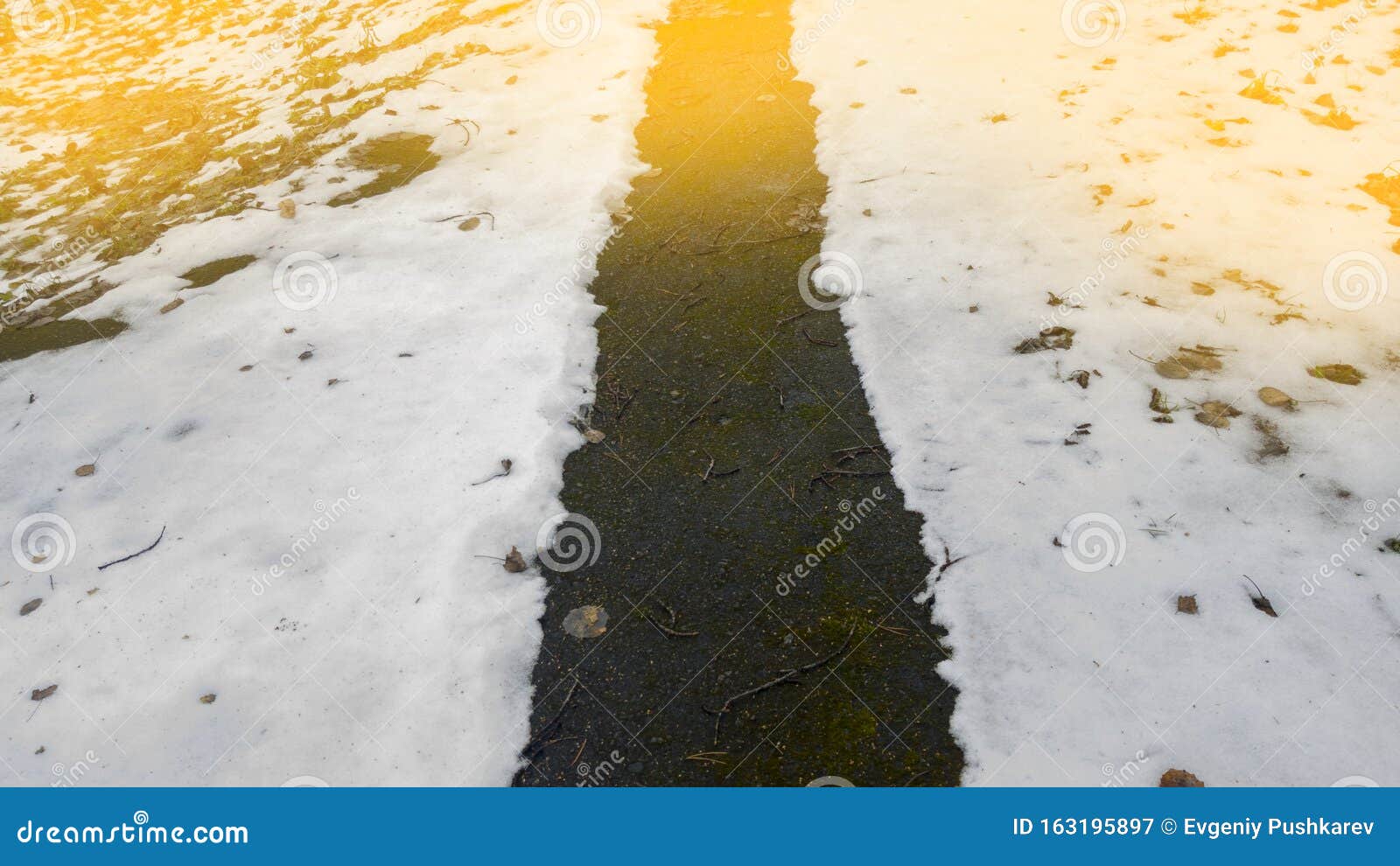 Tire Tracks in the Melting Snow on Asphalt Road Stock Image Image of