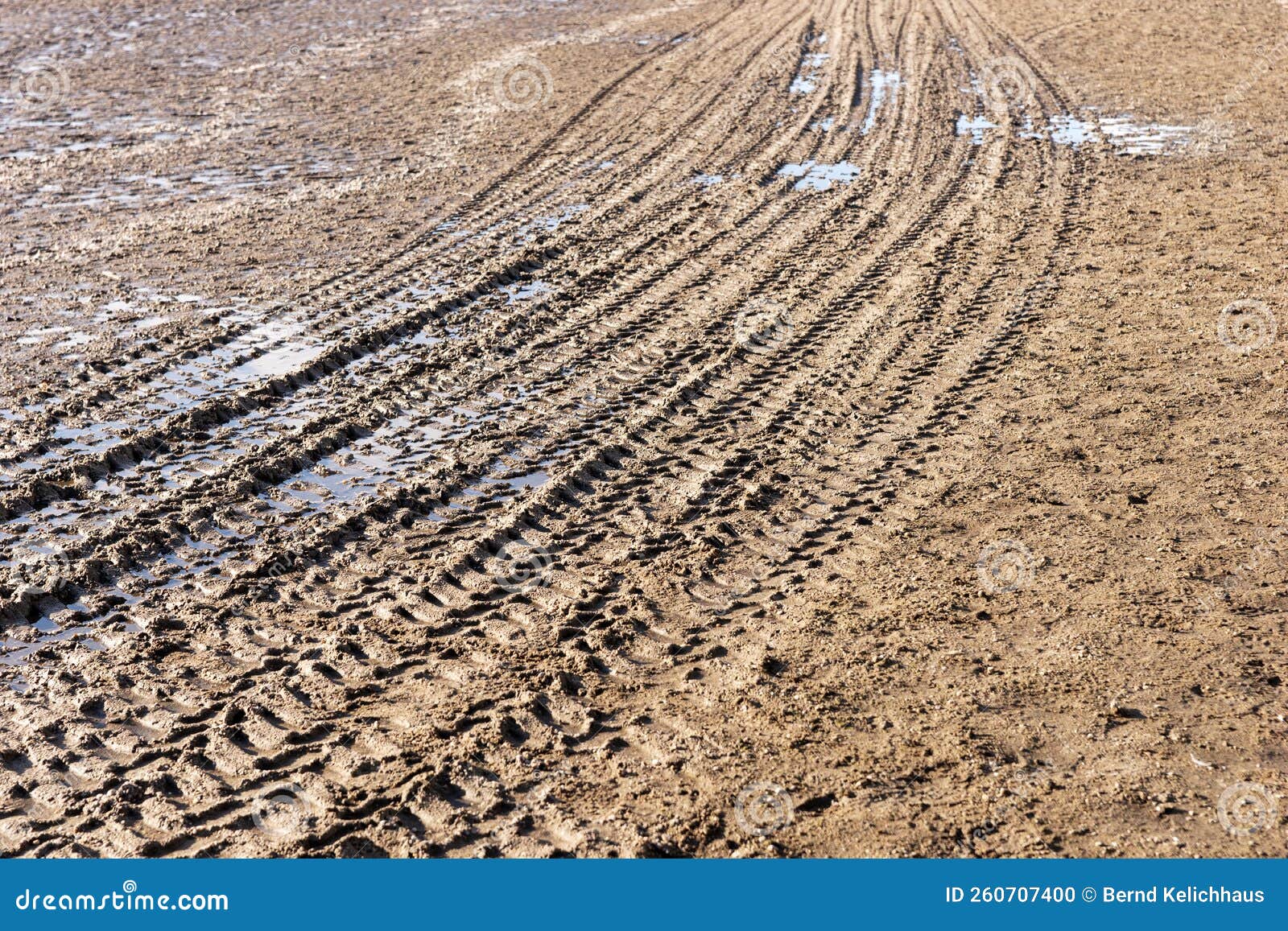 Tire tracks in the mud stock photo. Image of rain, pattern - 260707400