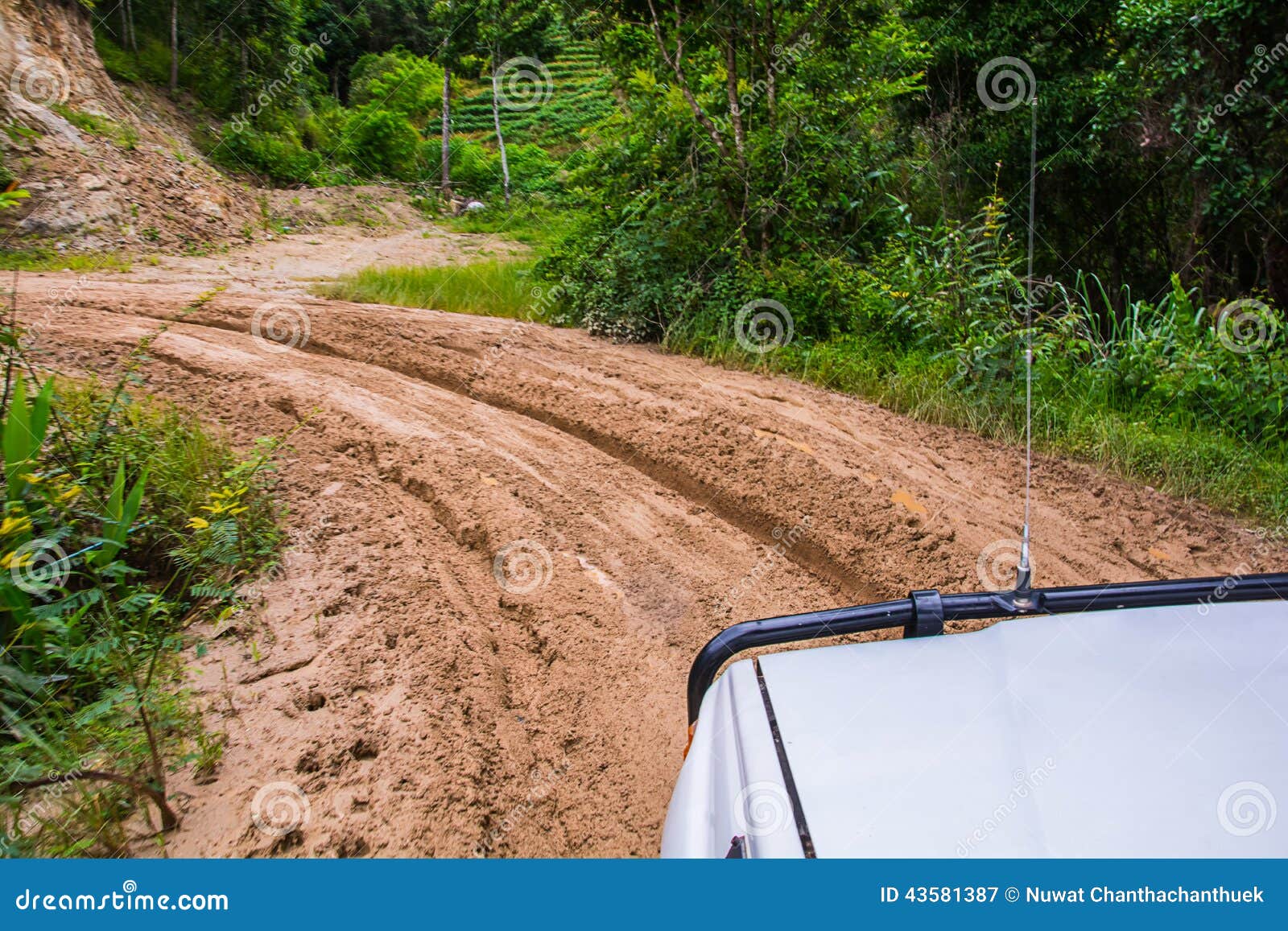 Tire tracks. stock image. Image of countryside, traffic 43581387