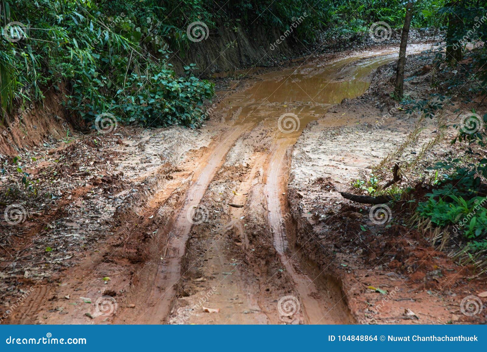 Tire Tracks on a Muddy Road Stock Photo Image of terrain road Tire Tracks on a Muddy Road Stock Photo Image of terrain road