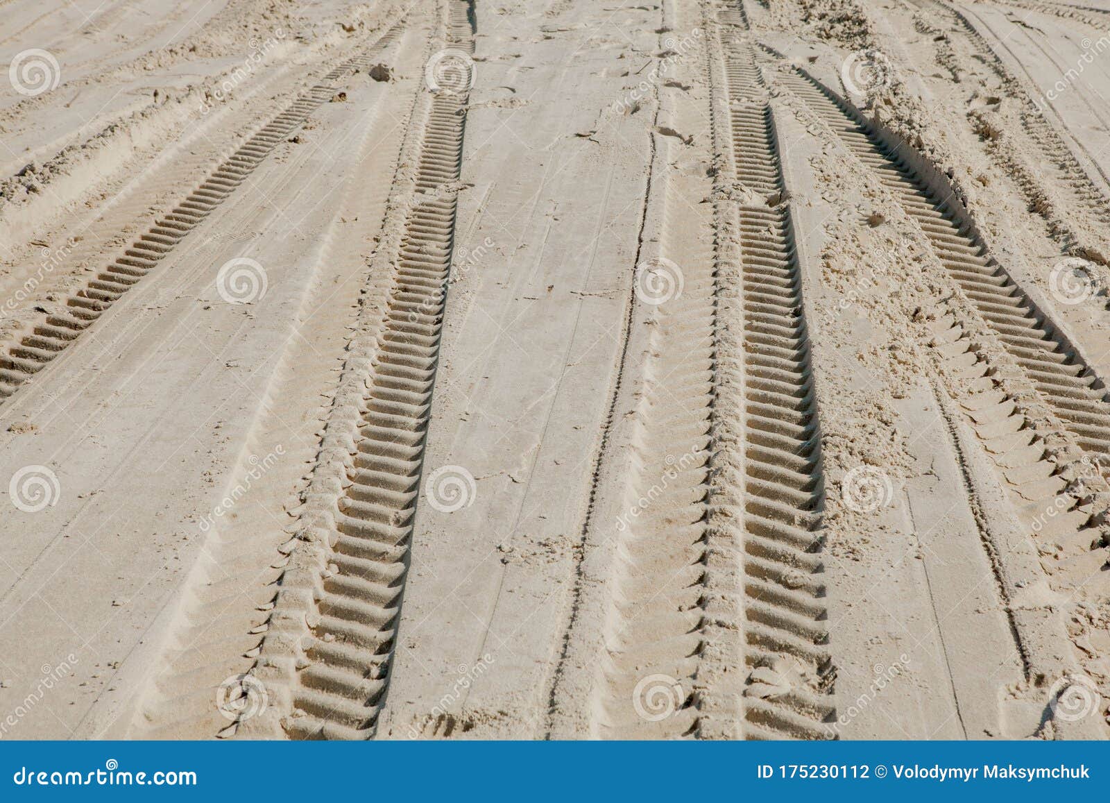 Tire Tracks in the Sand of a Beach Stock Photo Image of desert, nature 175230112