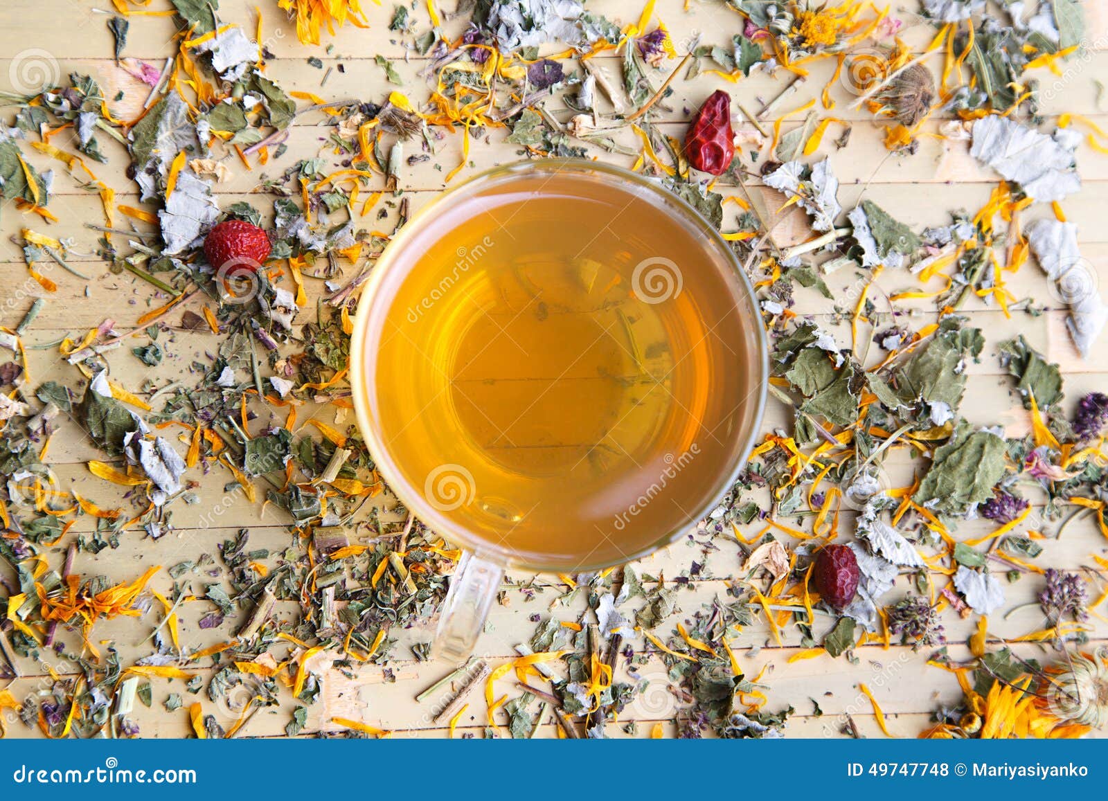 Tisana con la calendula fotografia stock. Immagine di caldo 49747748