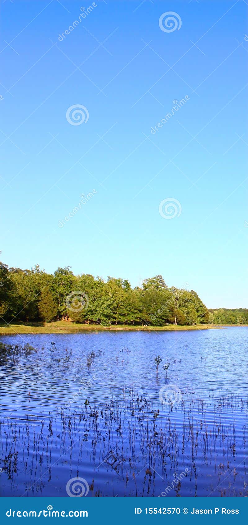 Tishomingo State Park Mississippi Stock Photo Image of pond, water 15542570
