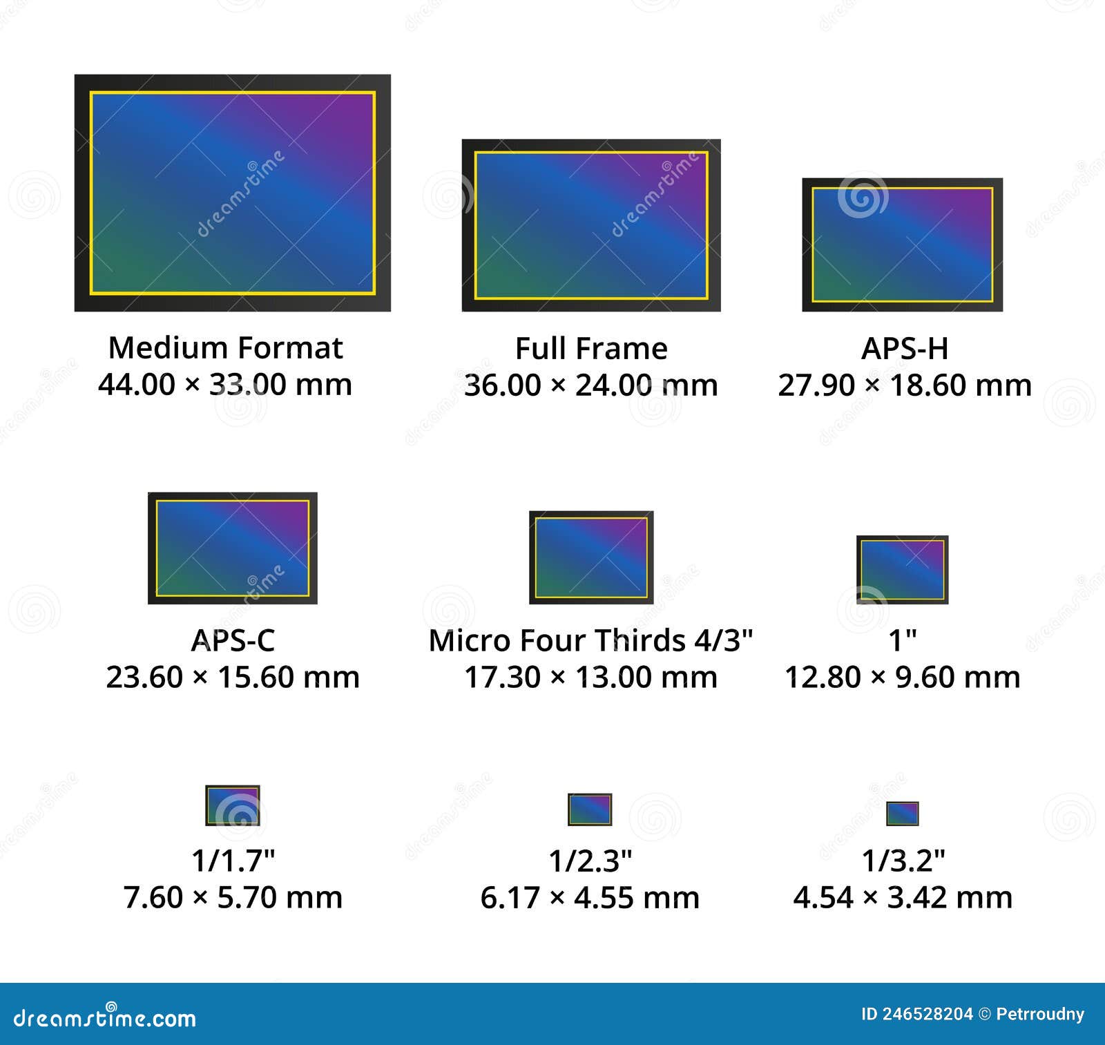 digital cmos or ccd camera sensor size formats. medium size, full frame, aps-h, aps-c, 4/3 and smaller.