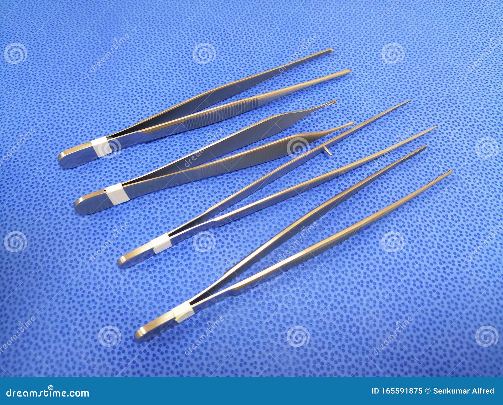 Tissue and Dressing Forceps Stock Image Image of handles, serration