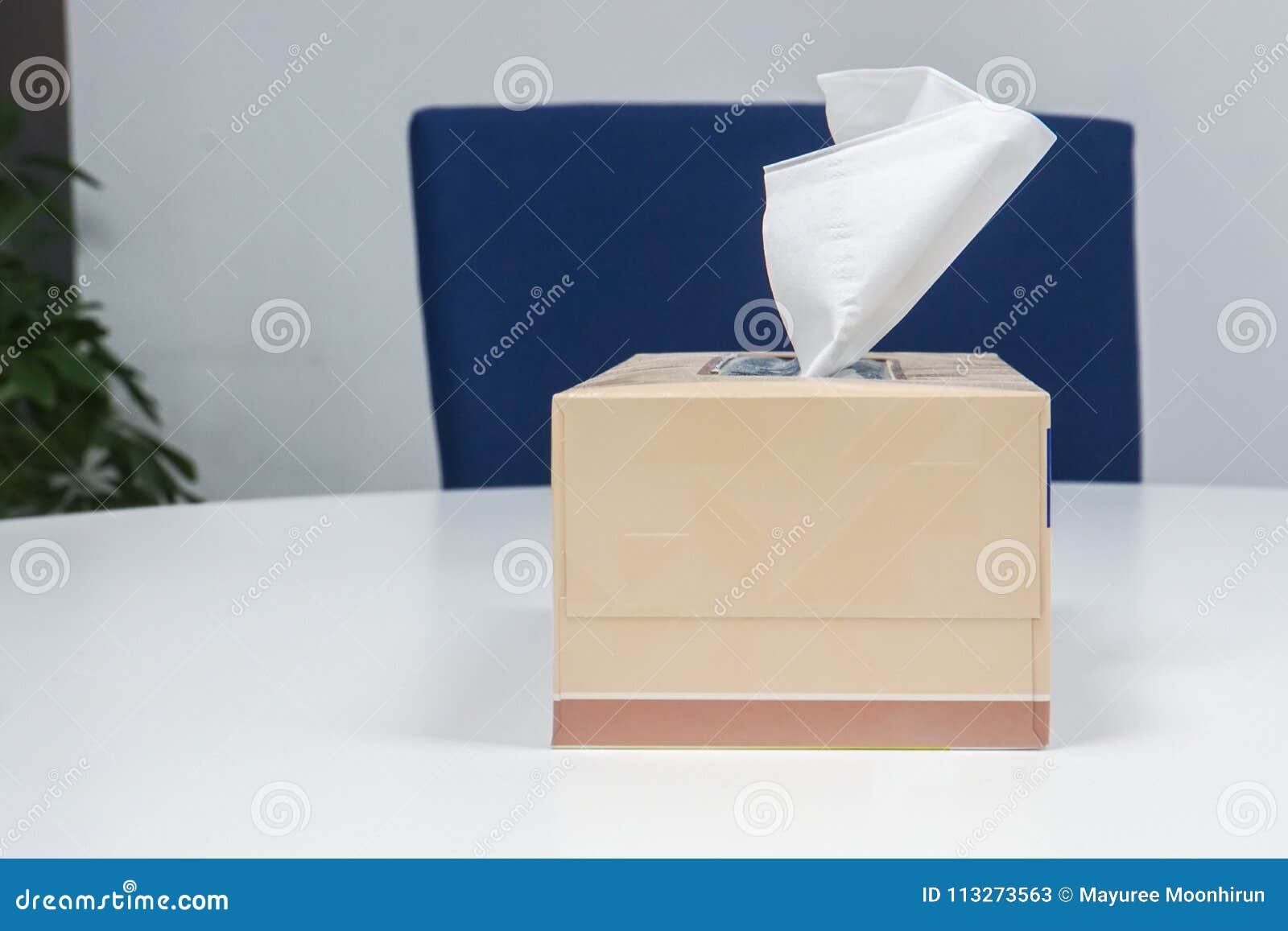Tissue Paper Box on White Office Table Stock Image Image of interior