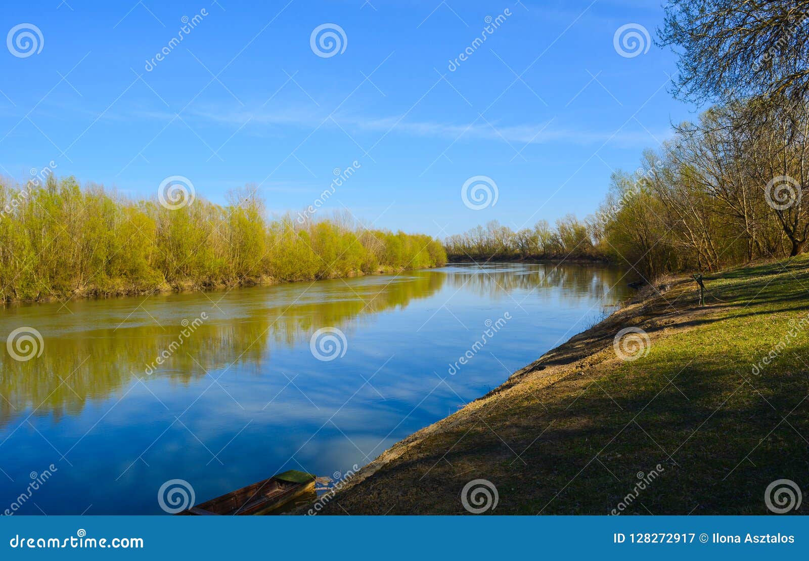 Tisza river in Hungary stock image. Image of woods, grass - 128272917