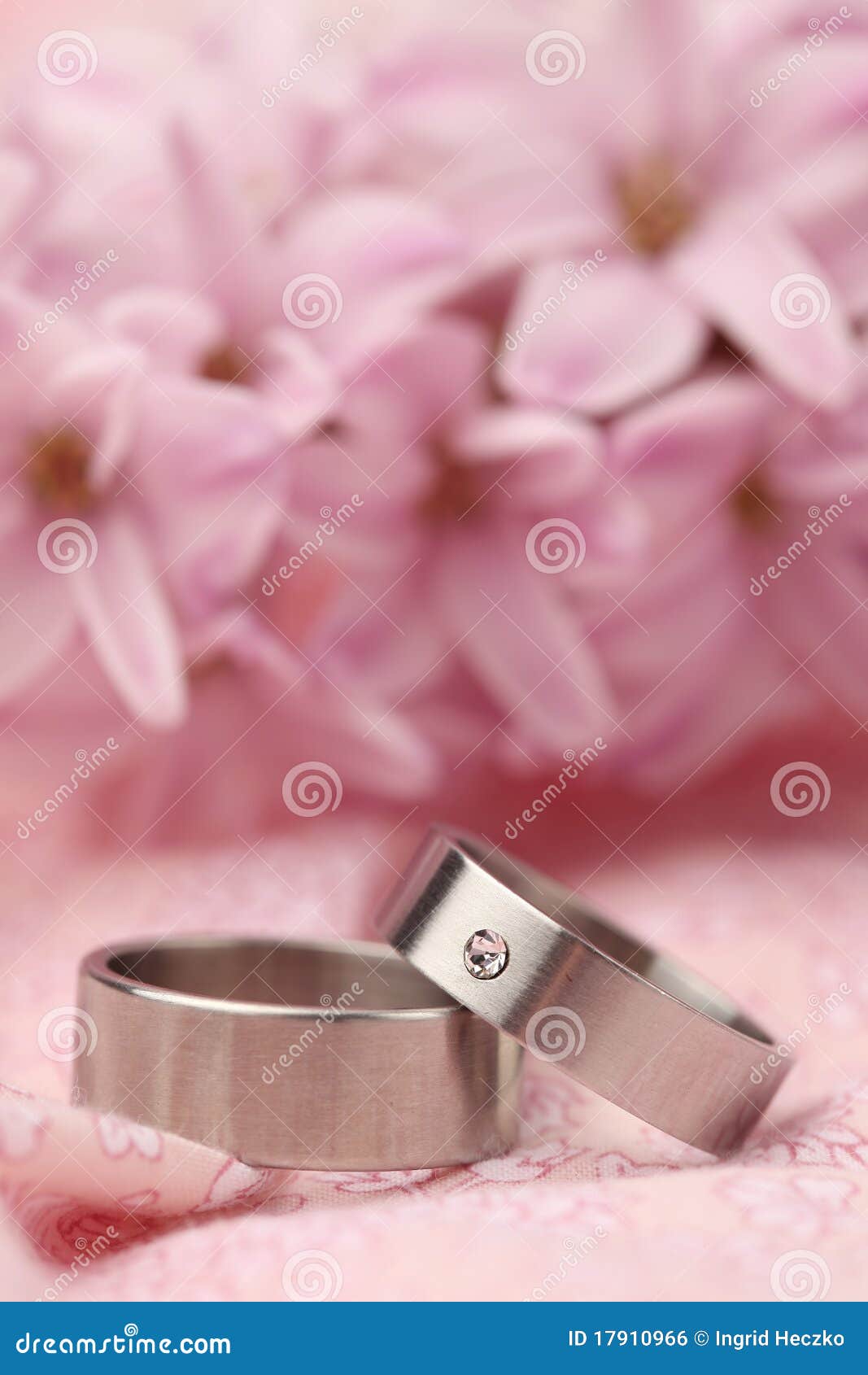 Titanium Wedding Rings 17910966 