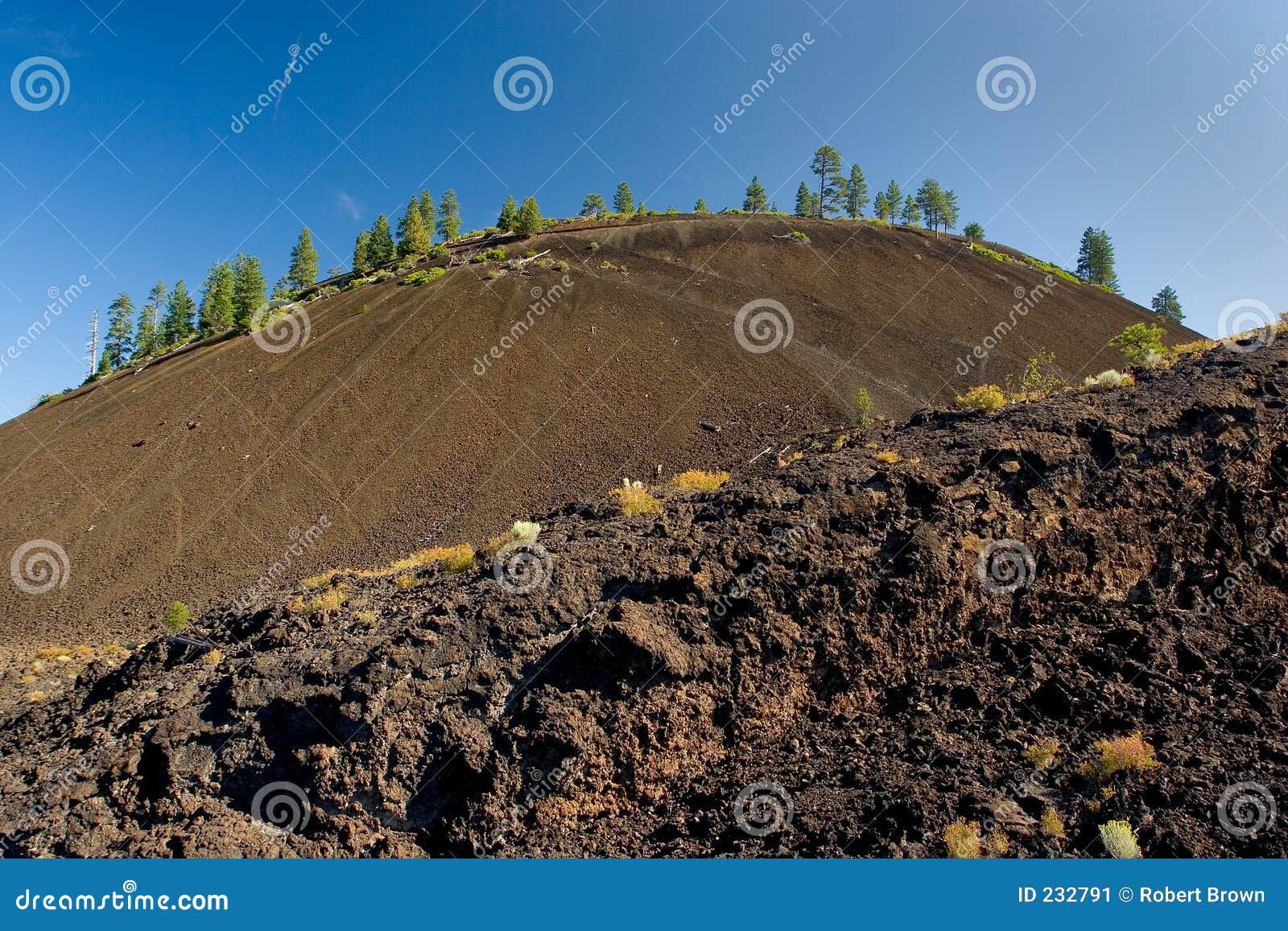 to the cinder cone