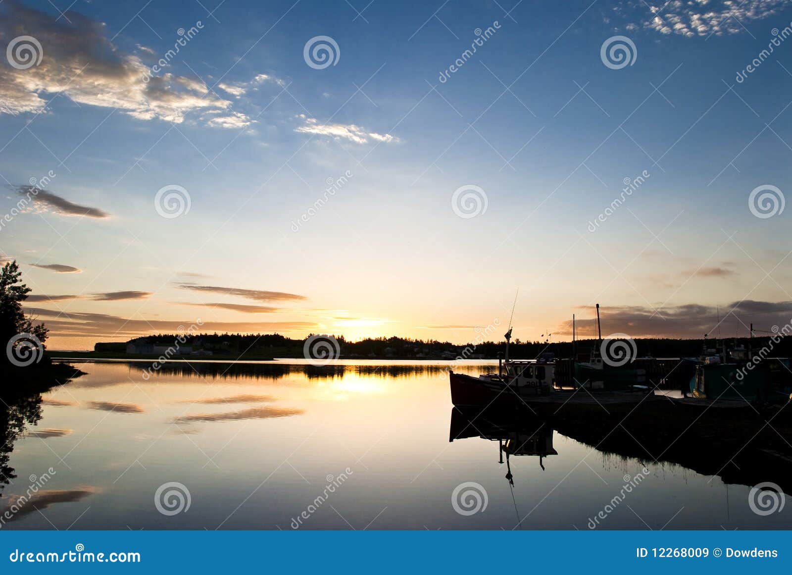 To Dream of Fish stock image. Image of ocean, mirror - 12268009