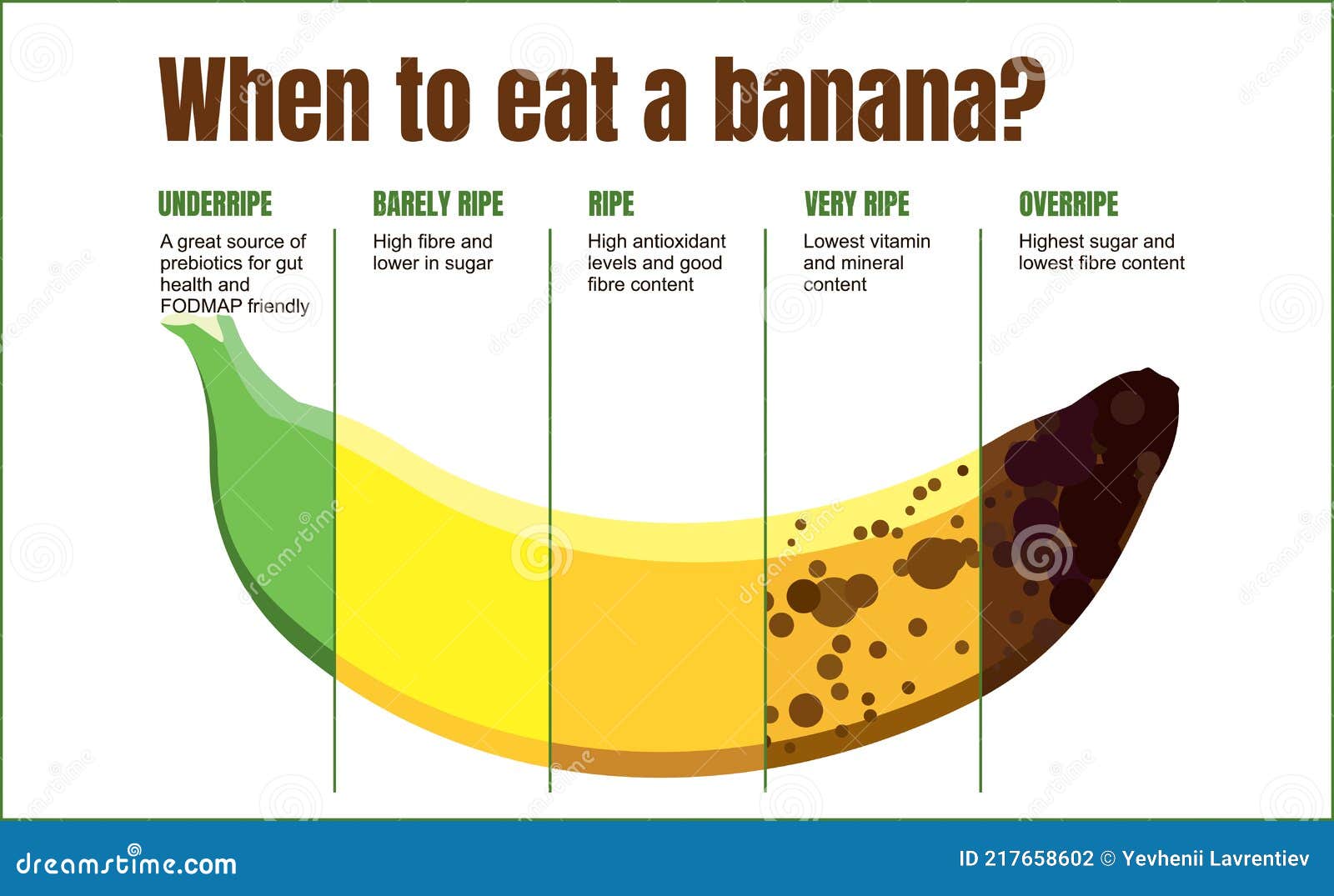 Banana Ripeness Stages Infographics Chart Bunch Of Bananas Colour ...